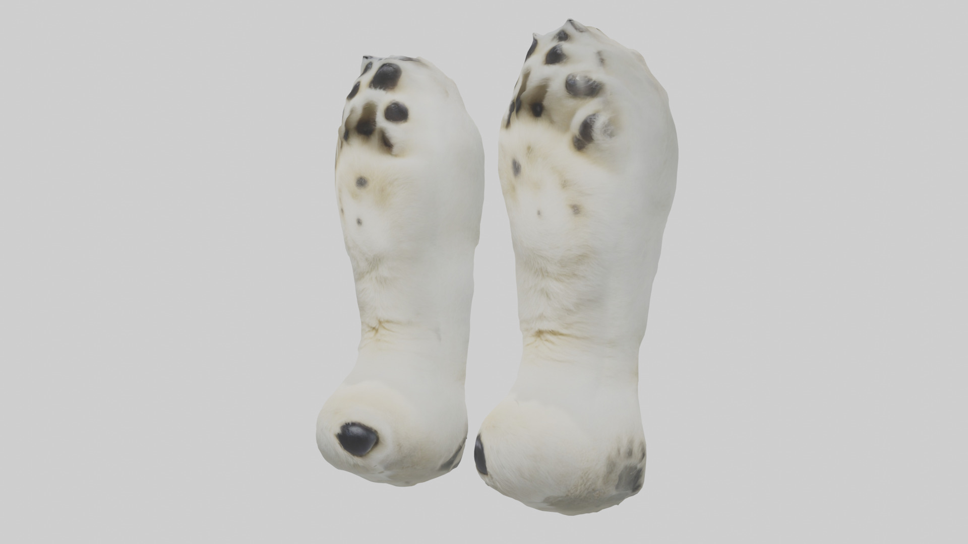 Polar Bear Paws Low-poly 3D model_8
