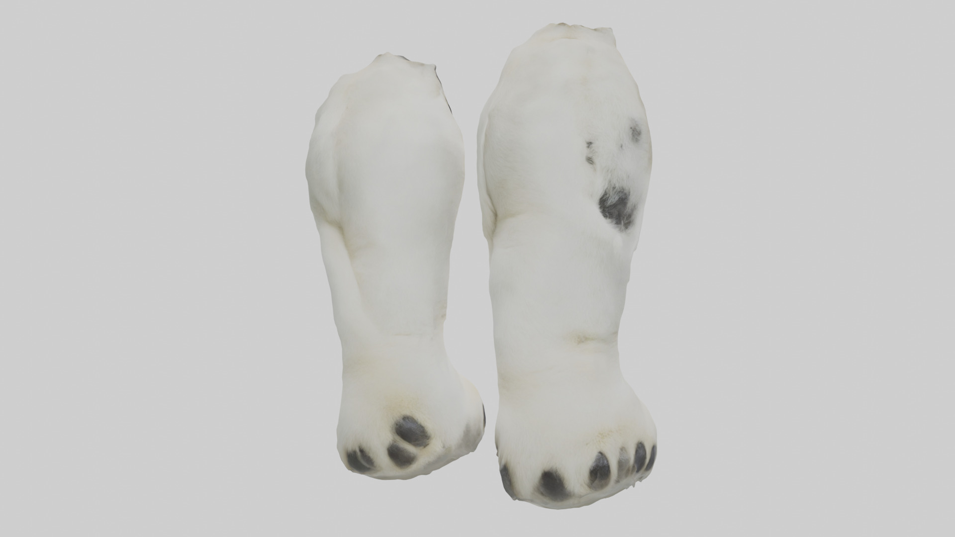 Polar Bear Paws Low-poly 3D model_2