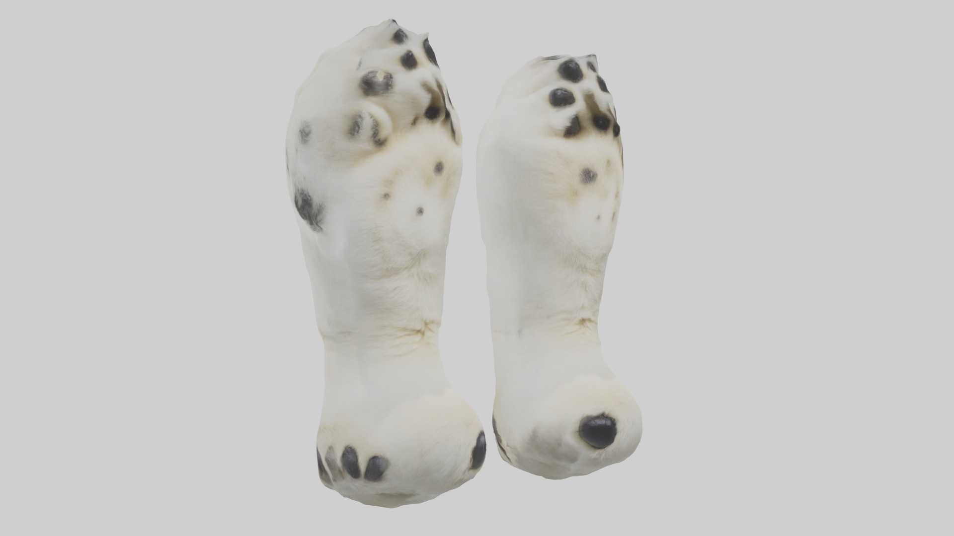 Polar Bear Paws Low-poly 3D model_7