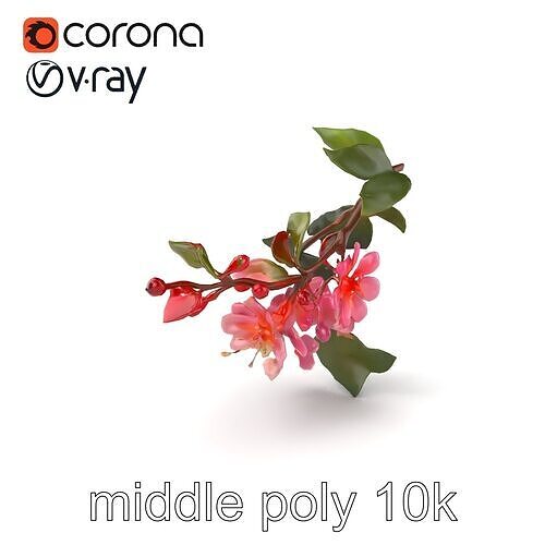 Lonicera Minor Vibrant Petals and Foliage model pack Low-poly 3D model