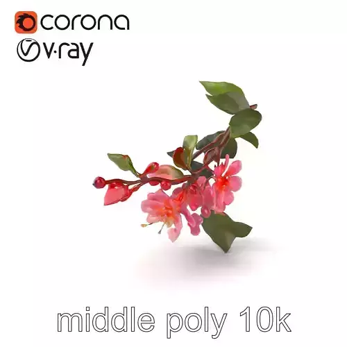 Lonicera Minor Vibrant Petals and Foliage model pack