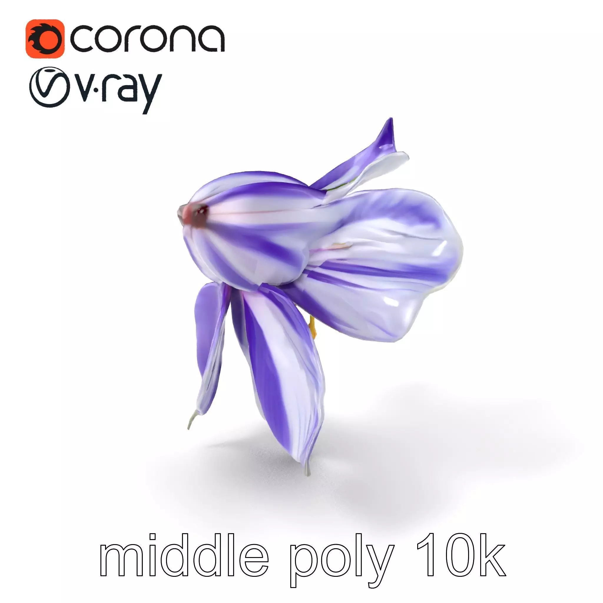 Bicolor Clematis Flower Model Pack Low-poly 3D model_0