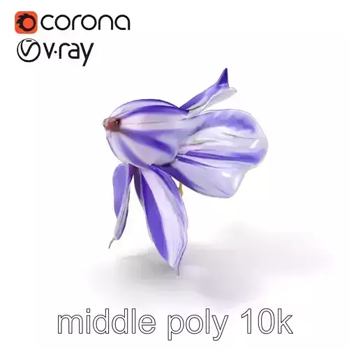 Bicolor Clematis Flower Model Pack