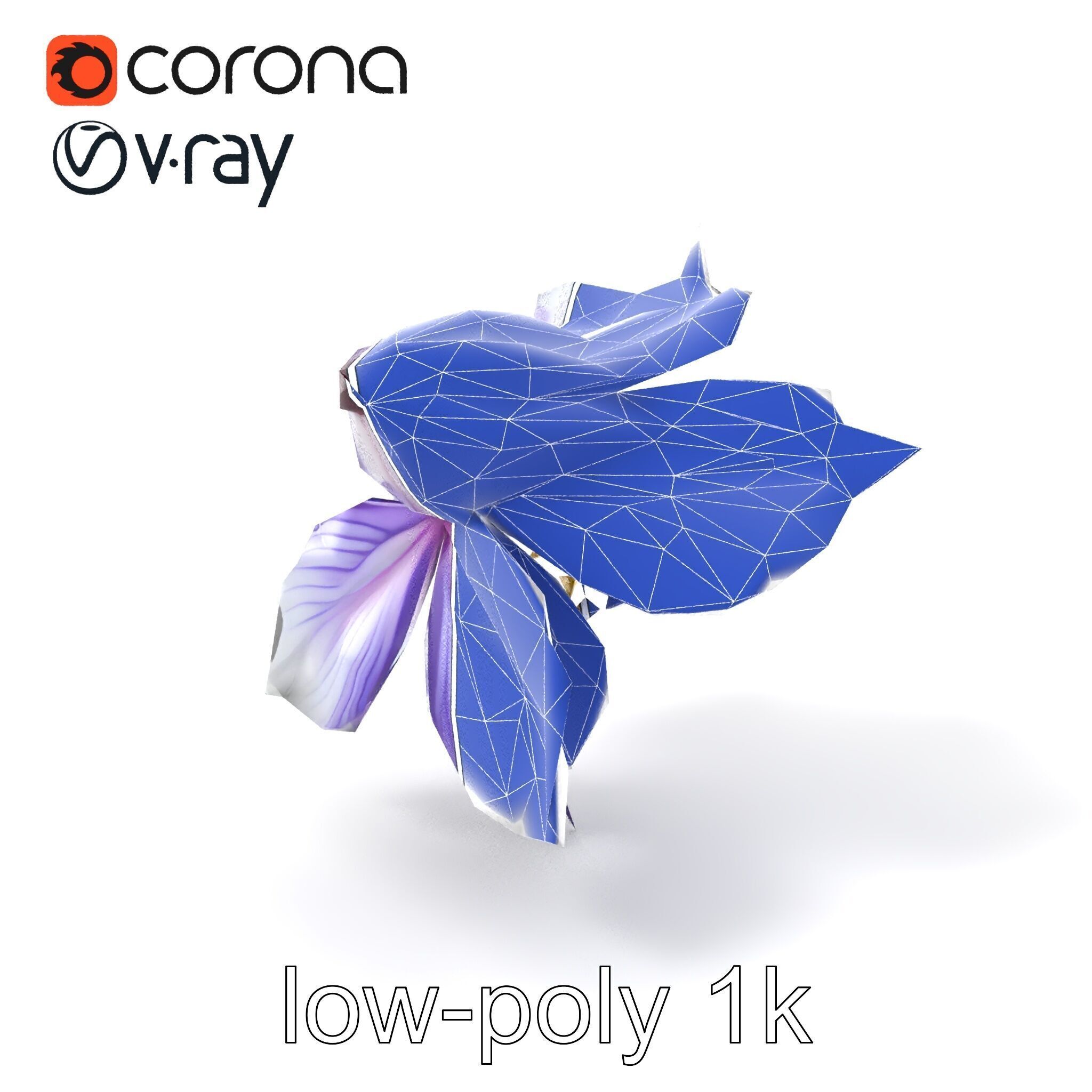 Bicolor Clematis Flower Model Pack Low-poly 3D model_6