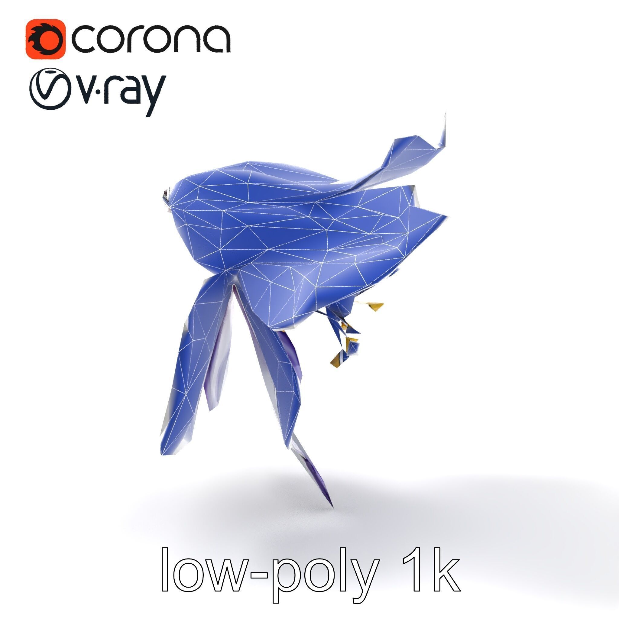 Bicolor Clematis Flower Model Pack Low-poly 3D model_18