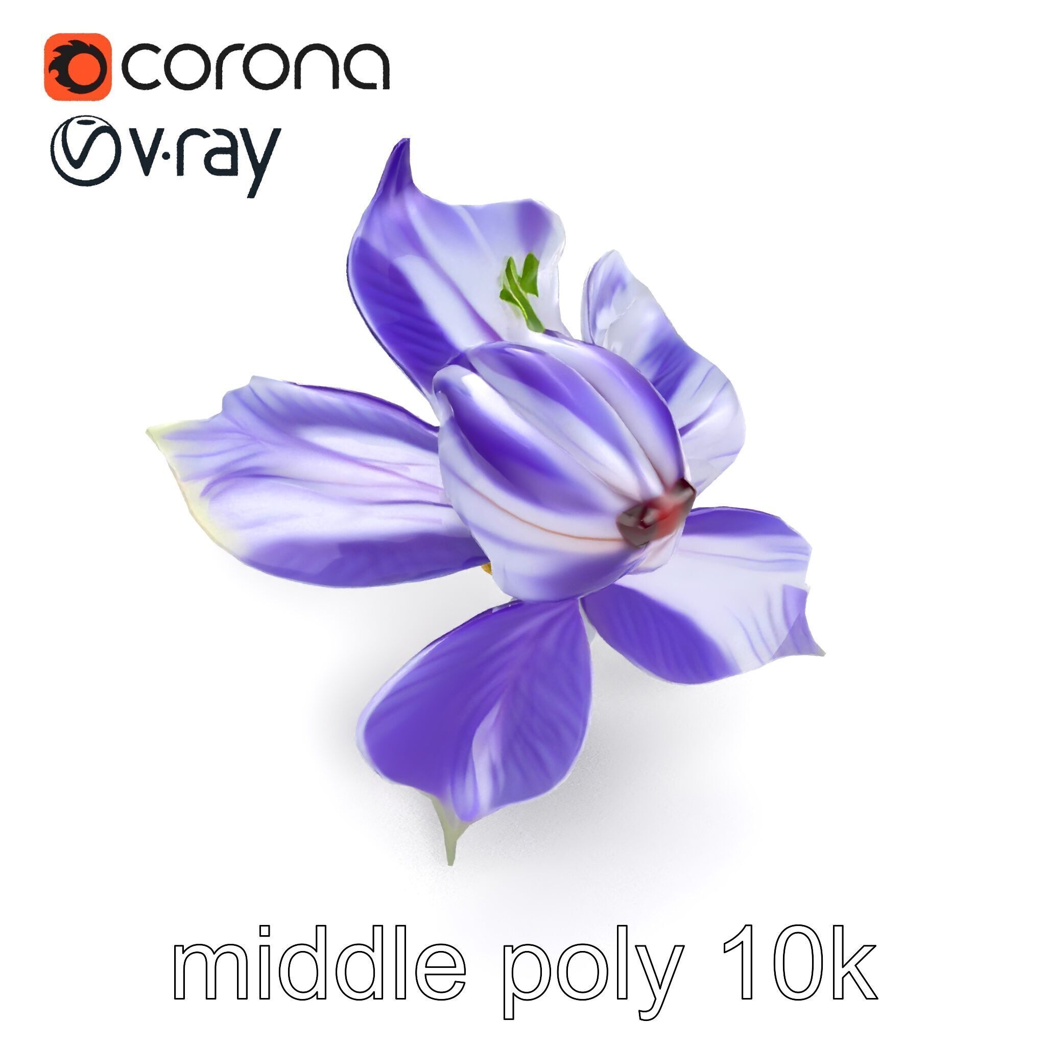 Bicolor Clematis Flower Model Pack Low-poly 3D model_15