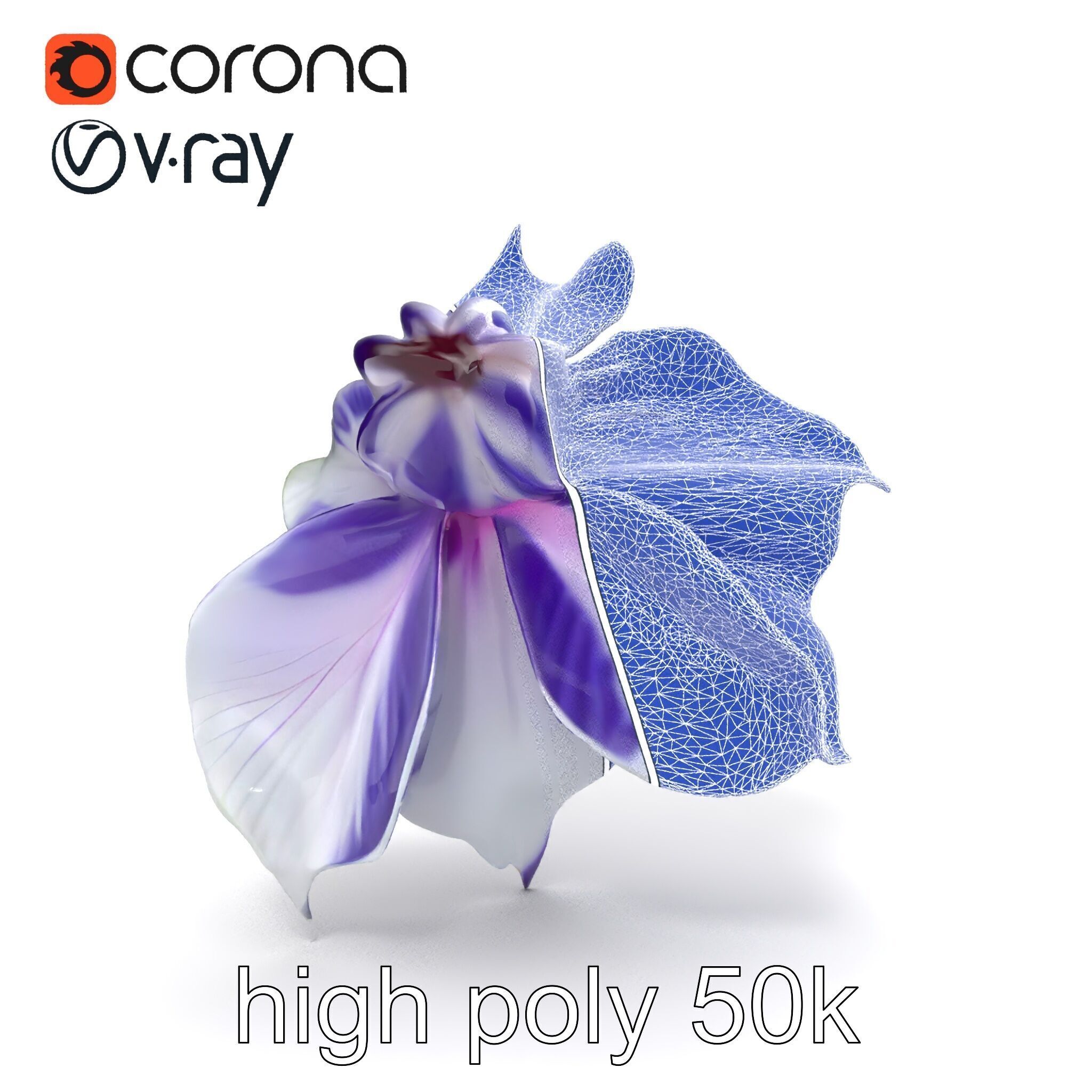 Bicolor Clematis Flower Model Pack Low-poly 3D model_30