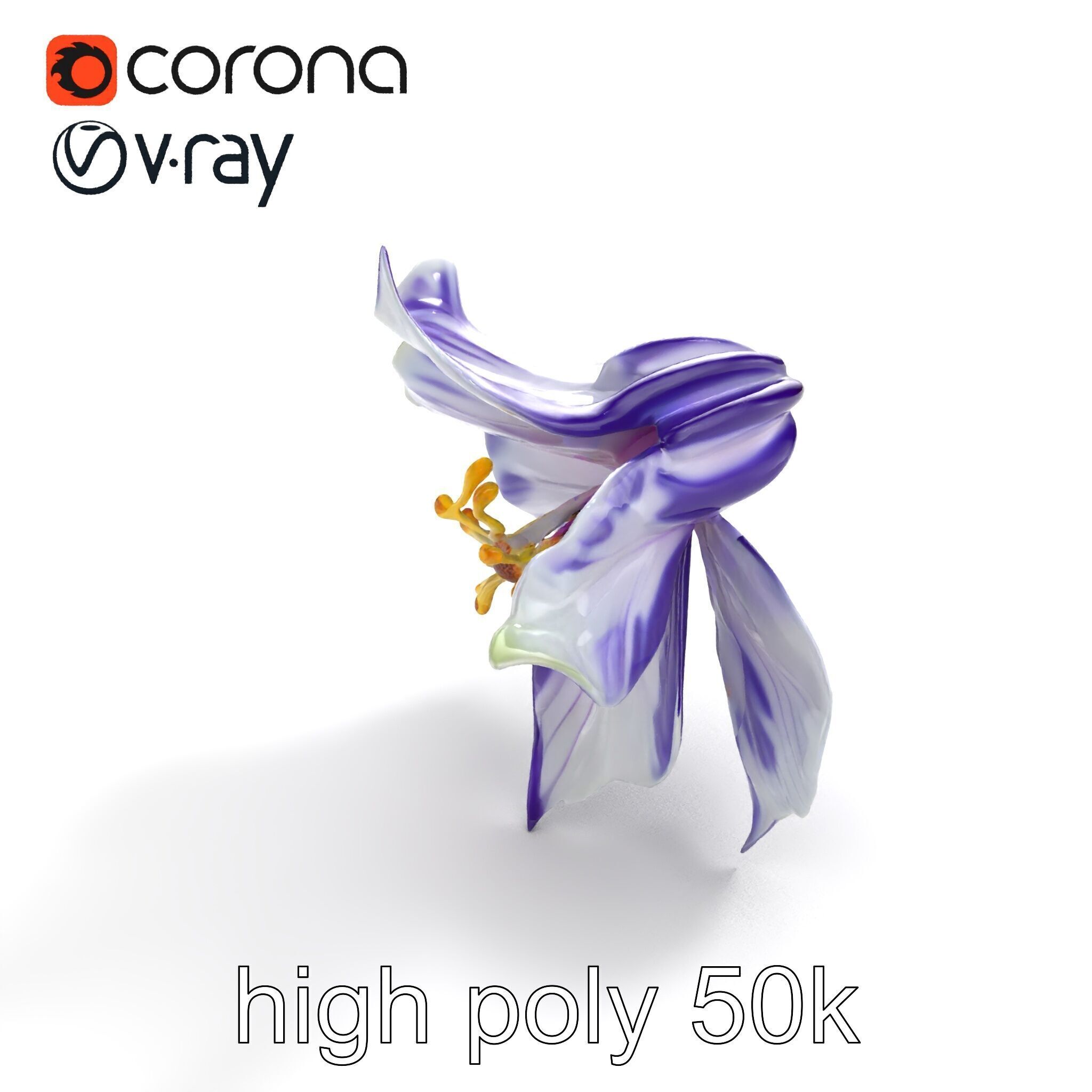 Bicolor Clematis Flower Model Pack Low-poly 3D model_9