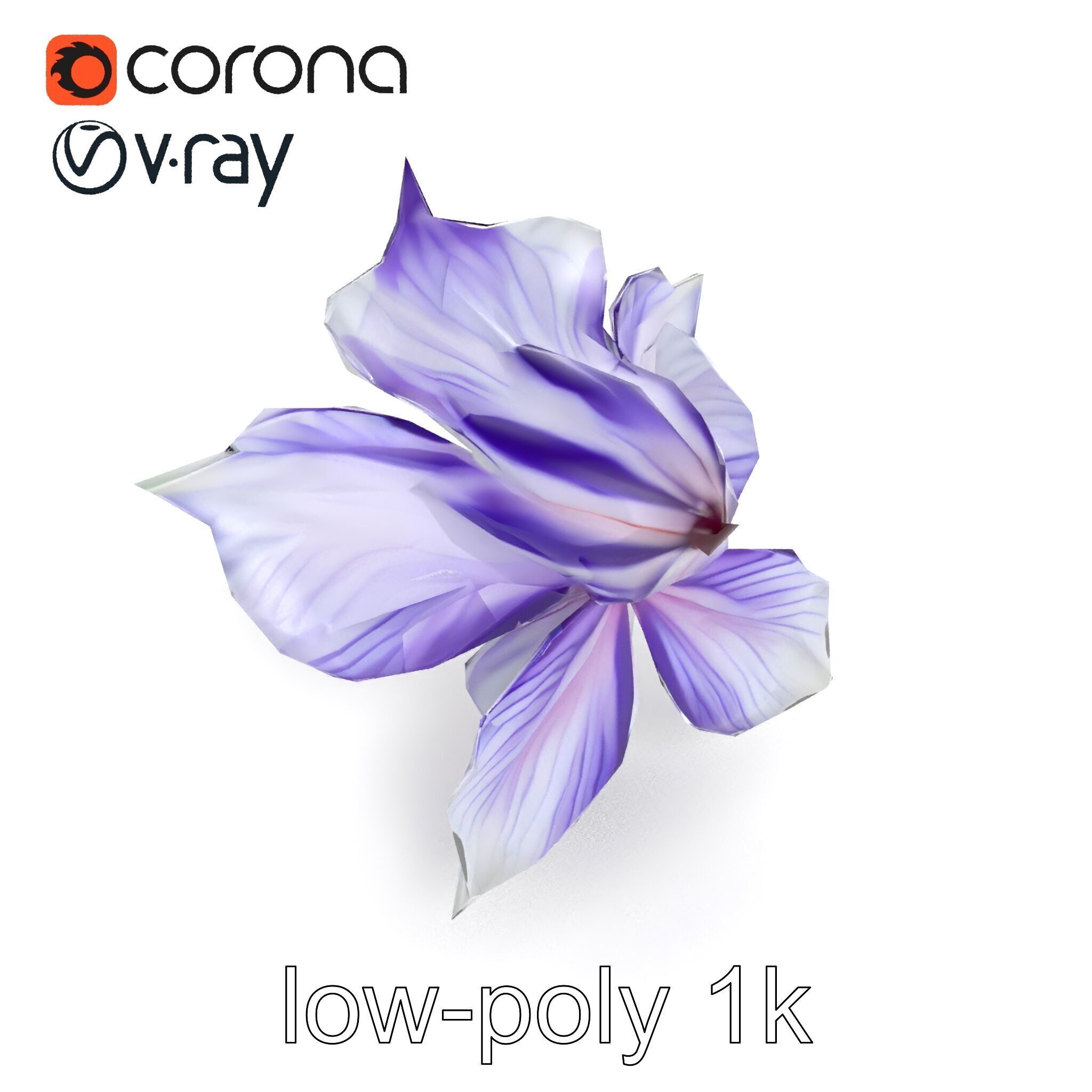 Bicolor Clematis Flower Model Pack Low-poly 3D model_17