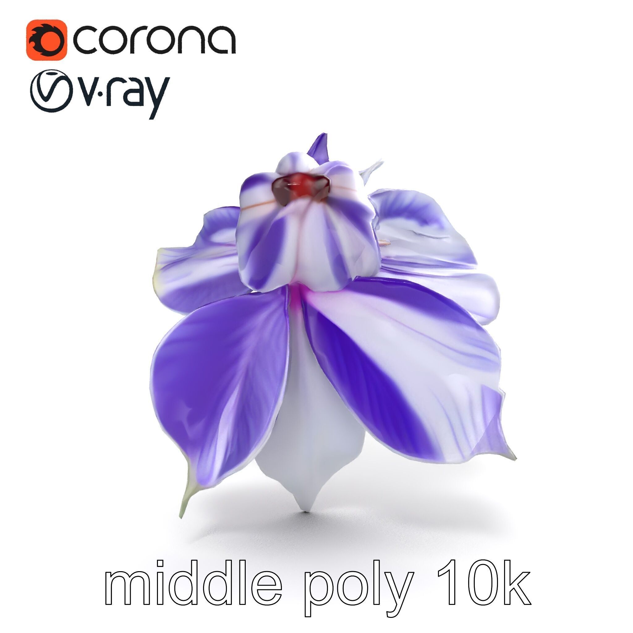 Bicolor Clematis Flower Model Pack Low-poly 3D model_14