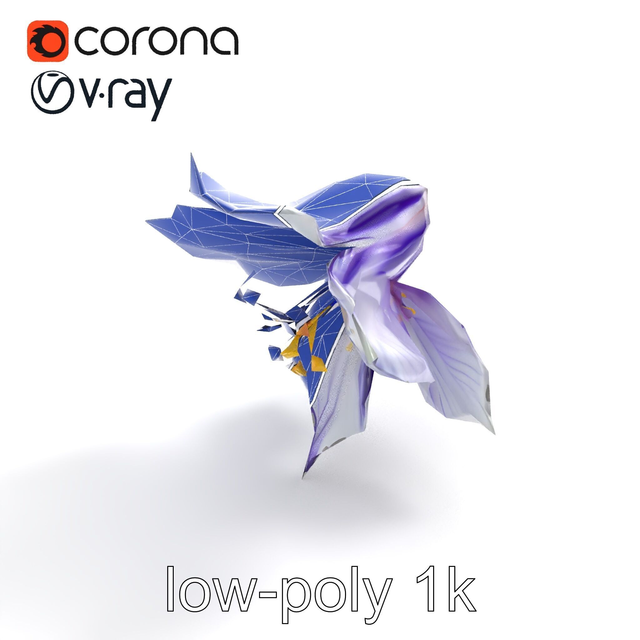 Bicolor Clematis Flower Model Pack Low-poly 3D model_11