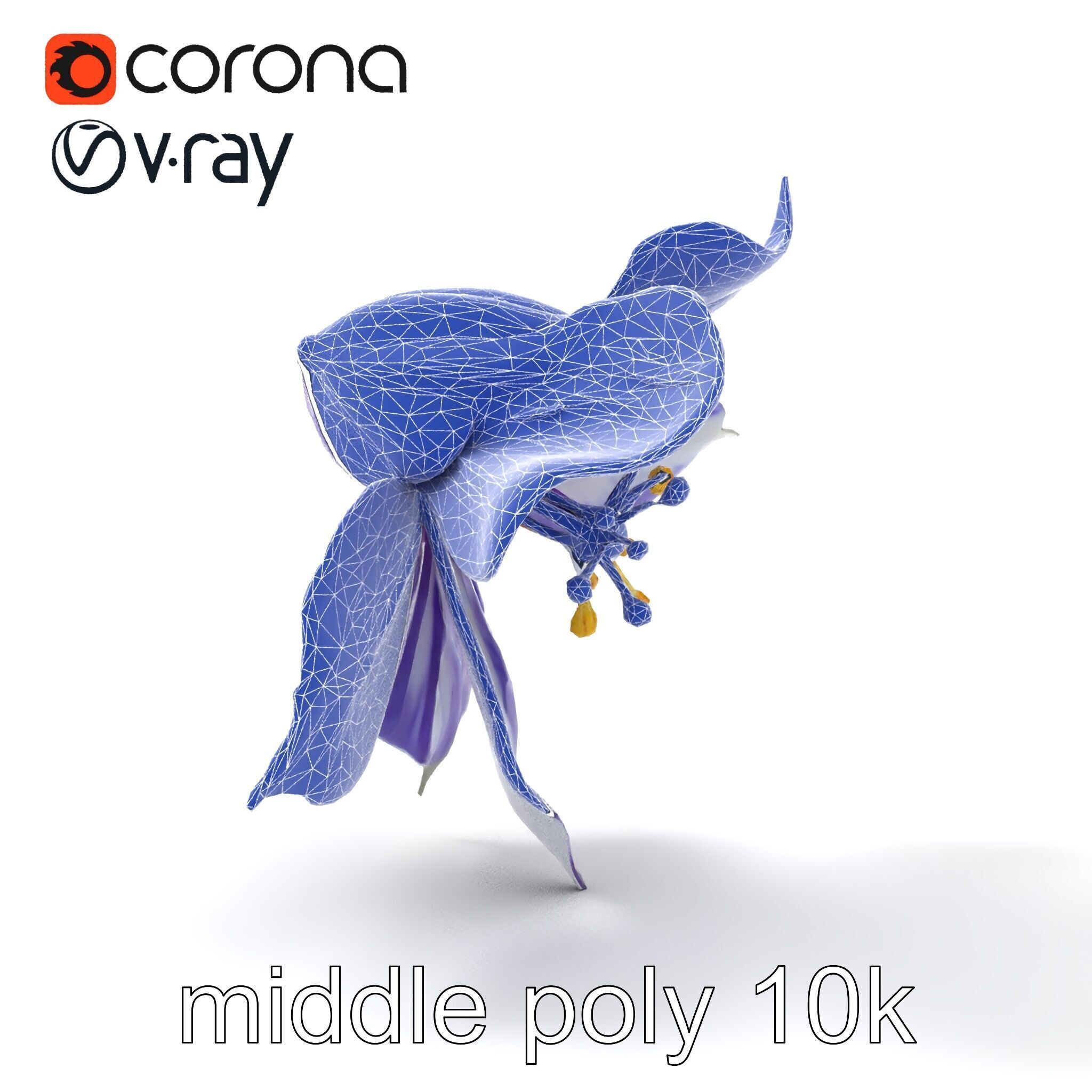 Bicolor Clematis Flower Model Pack Low-poly 3D model_24