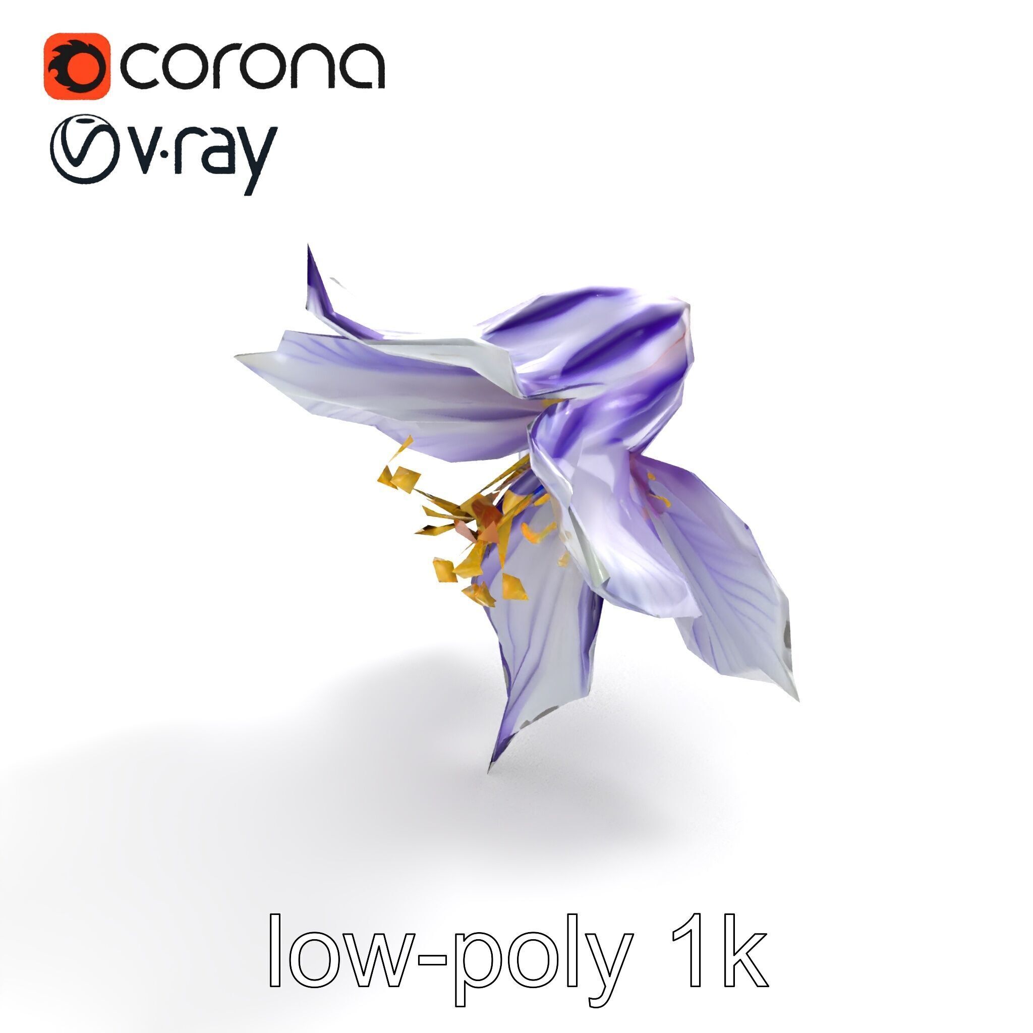 Bicolor Clematis Flower Model Pack Low-poly 3D model_8