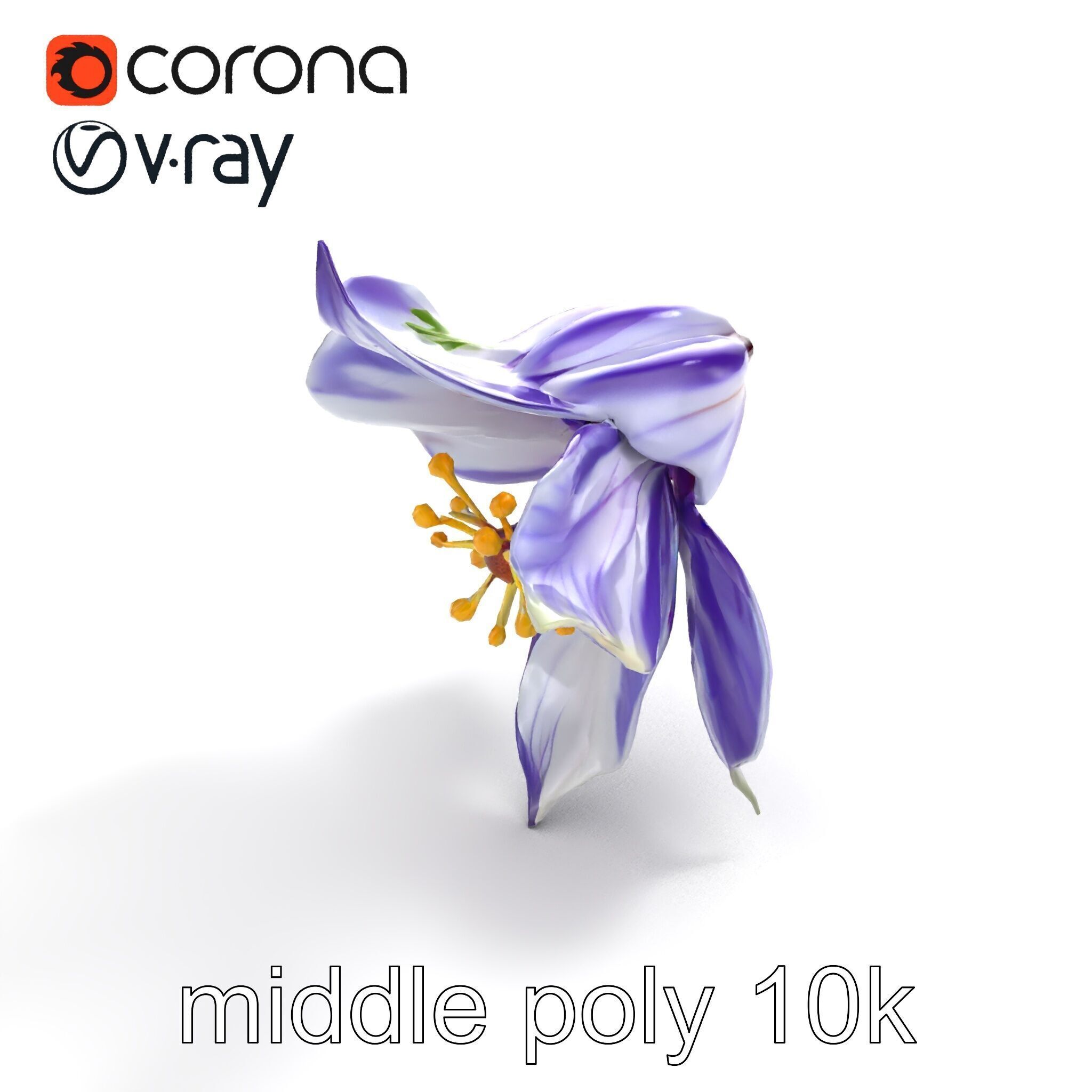 Bicolor Clematis Flower Model Pack Low-poly 3D model_7