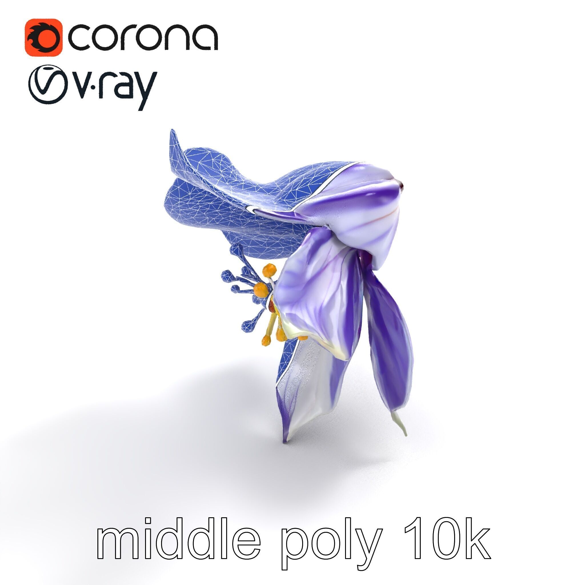 Bicolor Clematis Flower Model Pack Low-poly 3D model_10