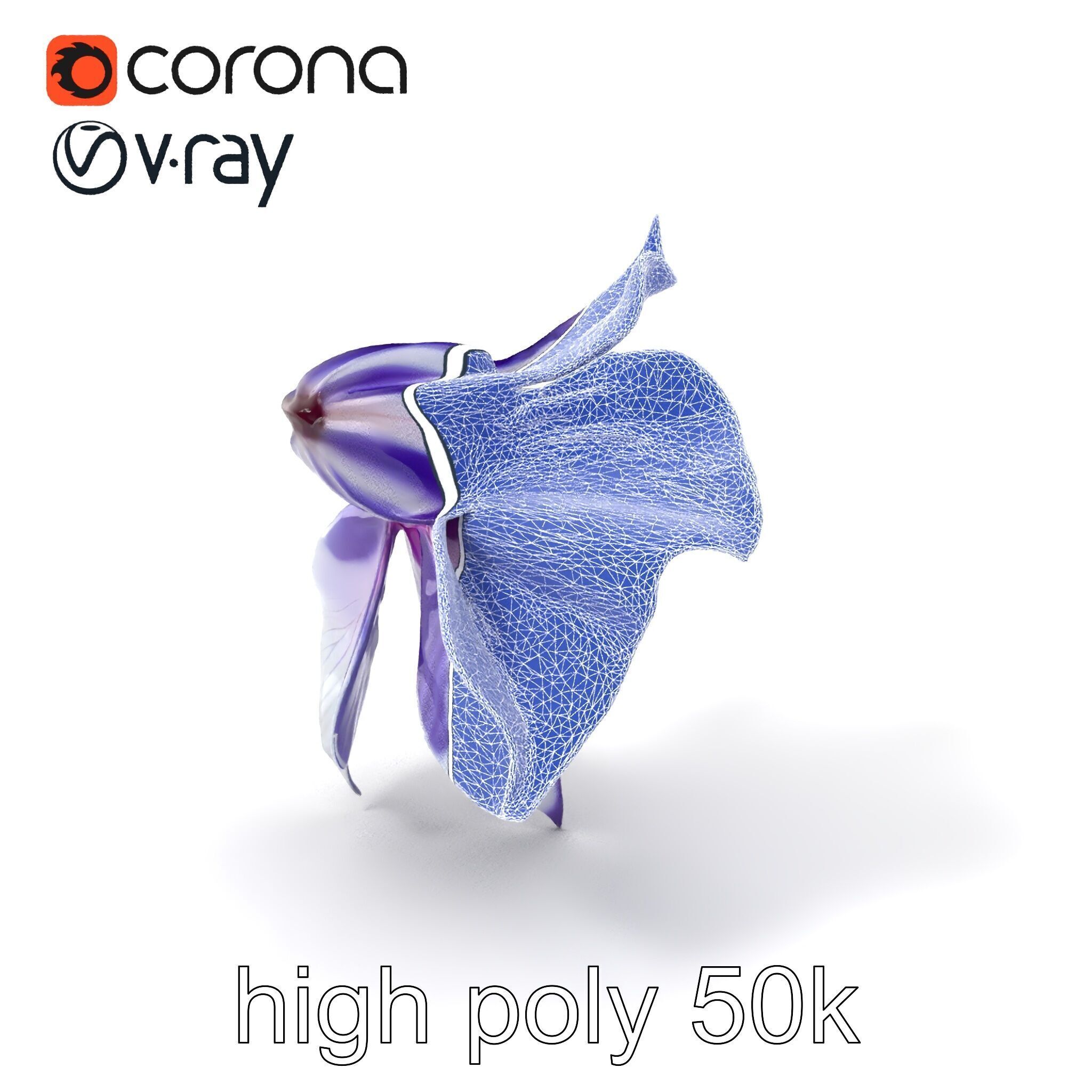 Bicolor Clematis Flower Model Pack Low-poly 3D model_1