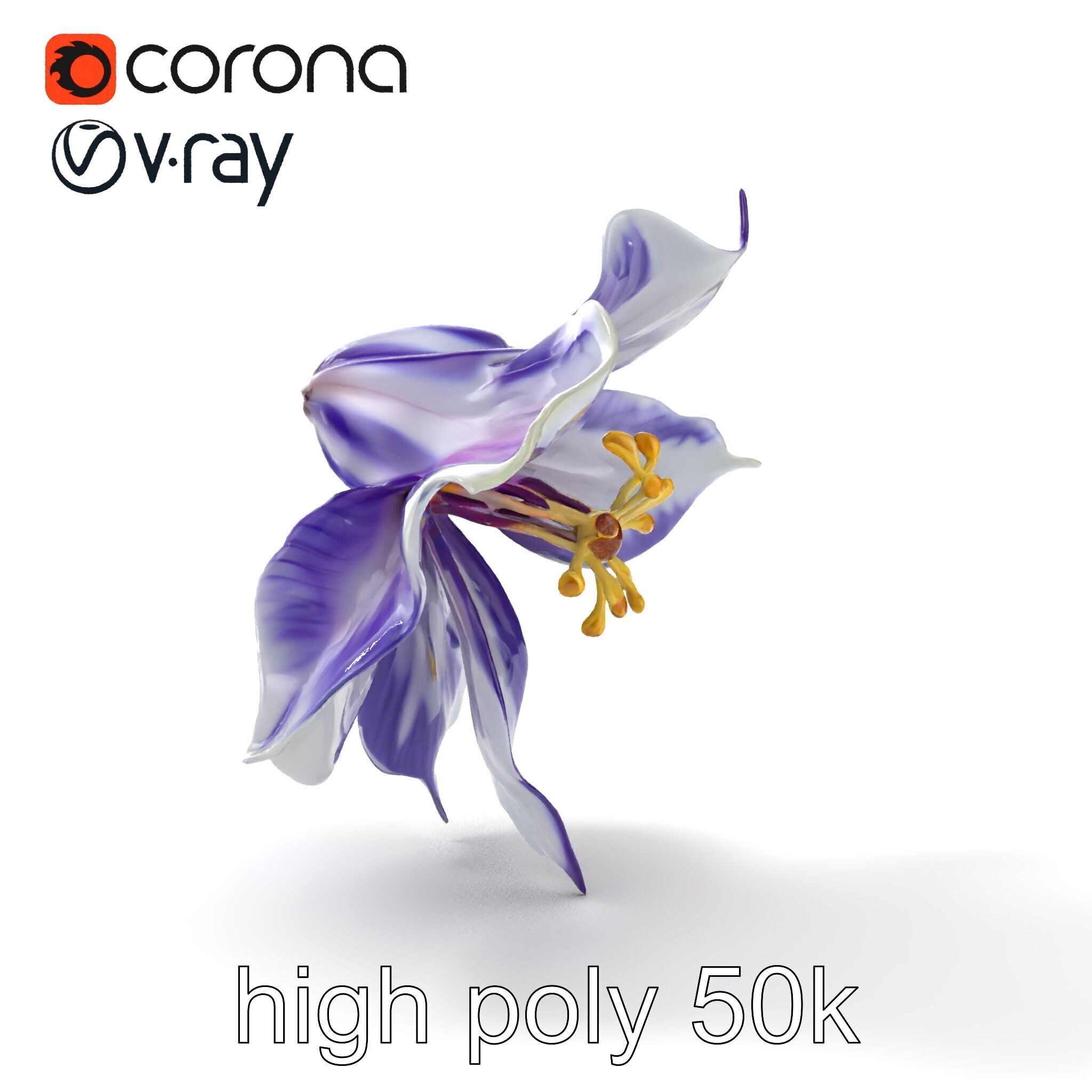 Bicolor Clematis Flower Model Pack Low-poly 3D model_19