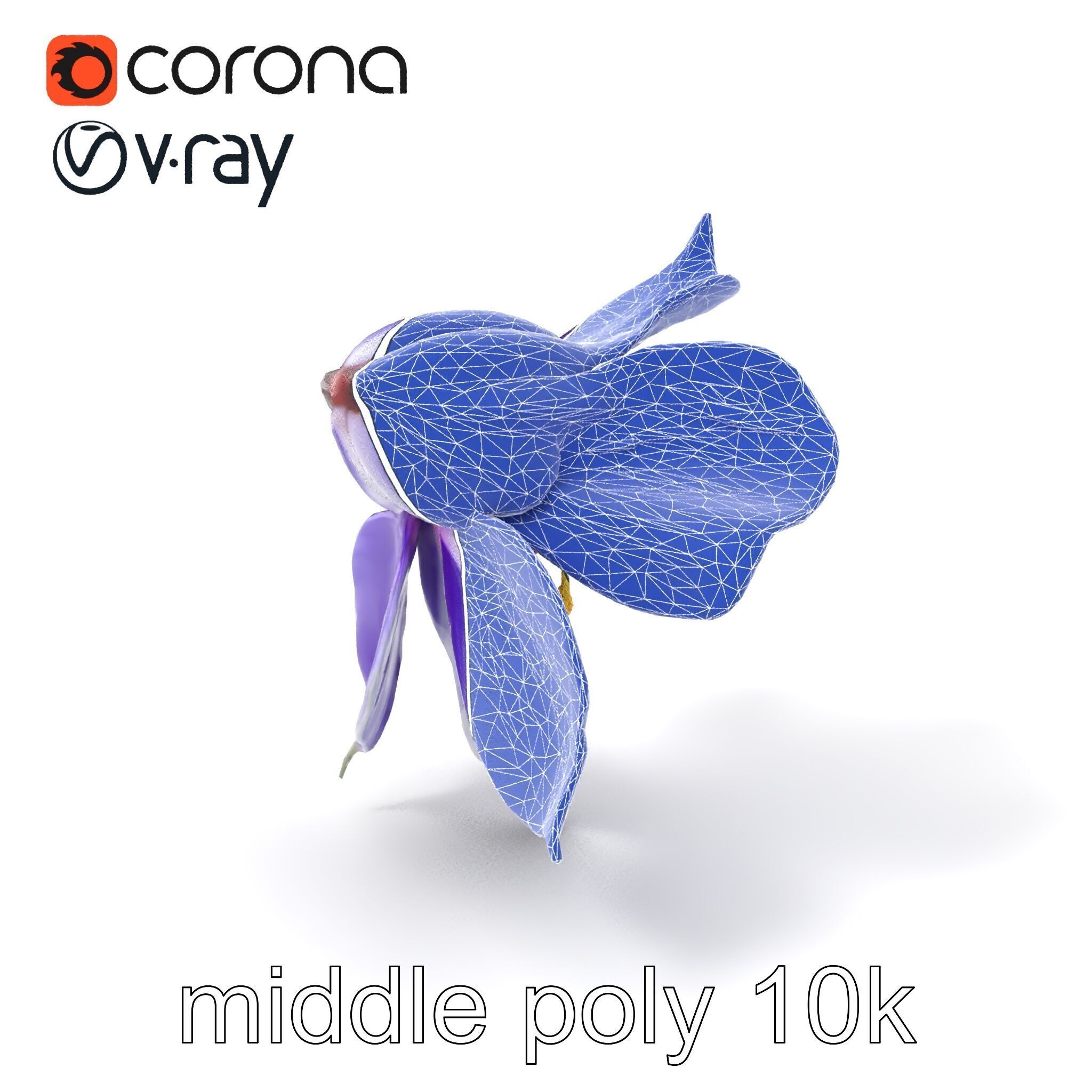 Bicolor Clematis Flower Model Pack Low-poly 3D model_5