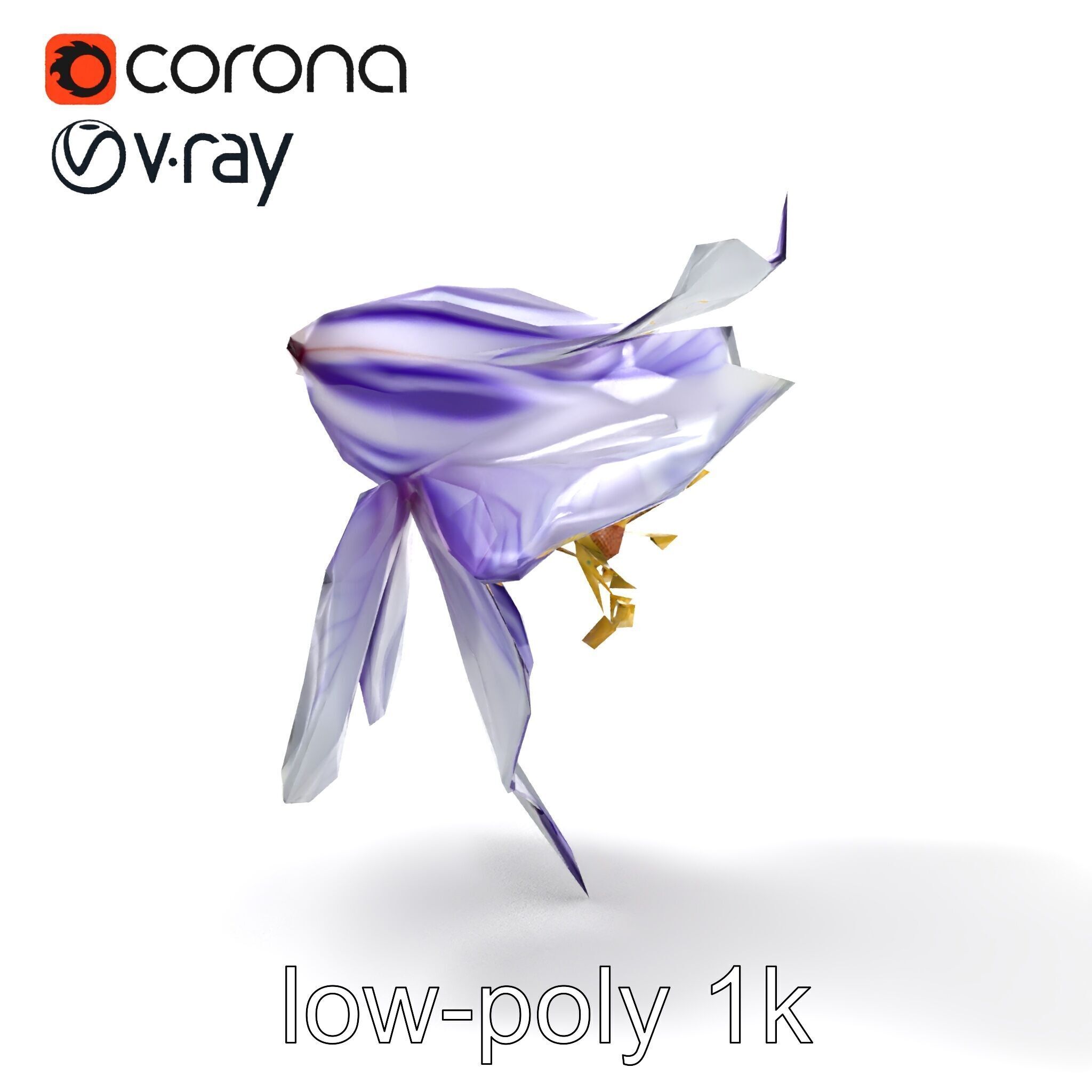 Bicolor Clematis Flower Model Pack Low-poly 3D model_21