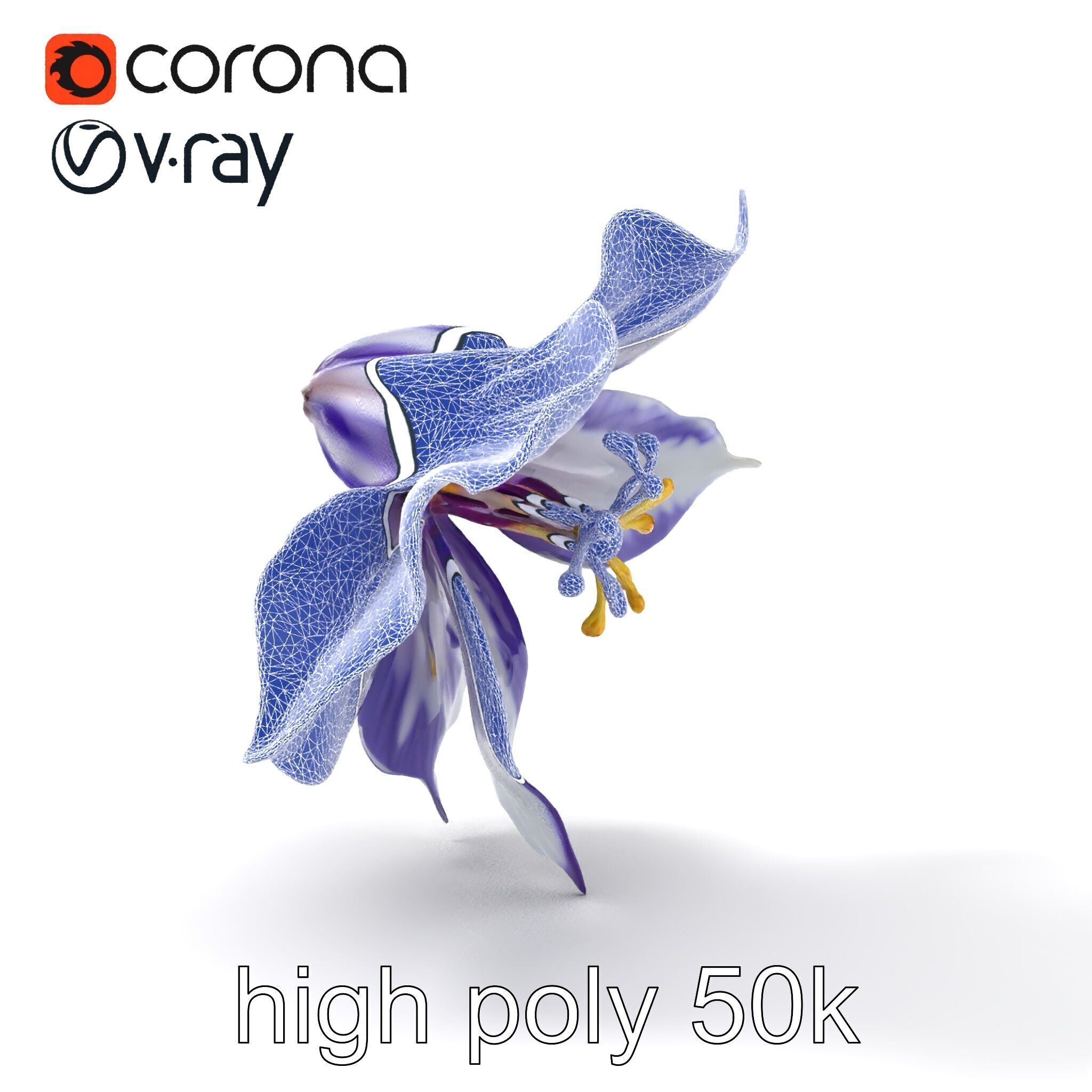 Bicolor Clematis Flower Model Pack Low-poly 3D model_29