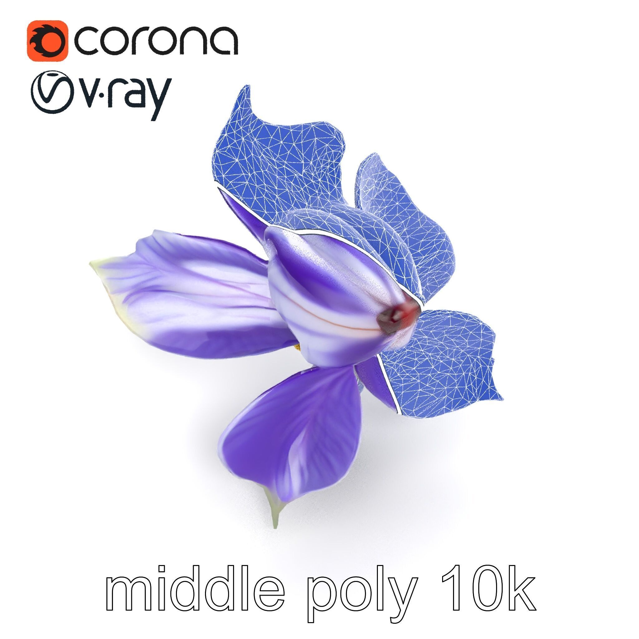 Bicolor Clematis Flower Model Pack Low-poly 3D model_20