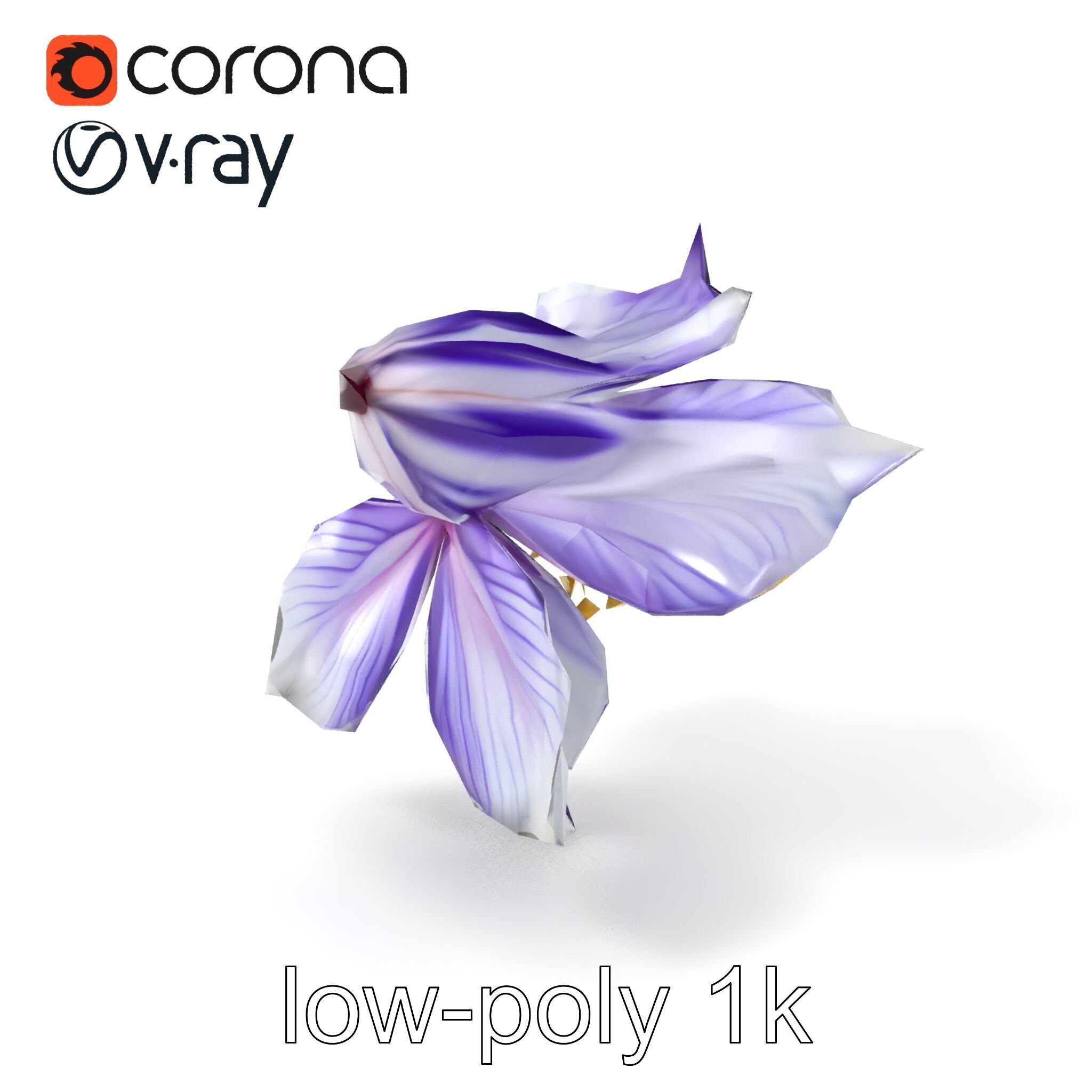 Bicolor Clematis Flower Model Pack Low-poly 3D model_4