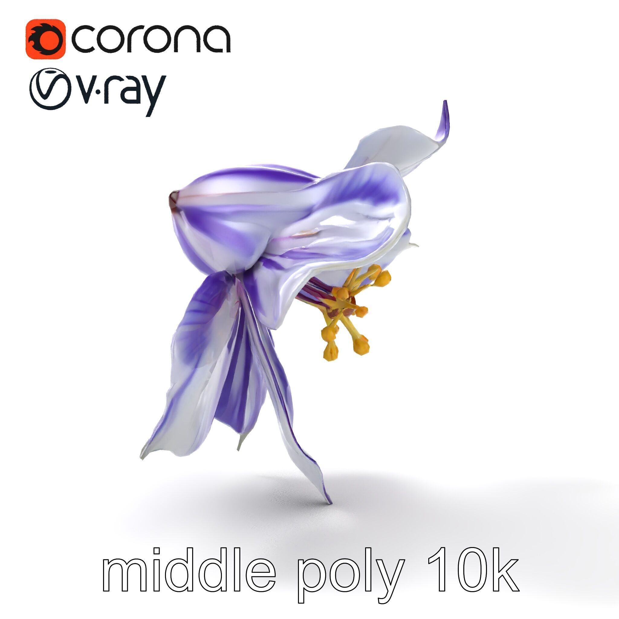 Bicolor Clematis Flower Model Pack Low-poly 3D model_16