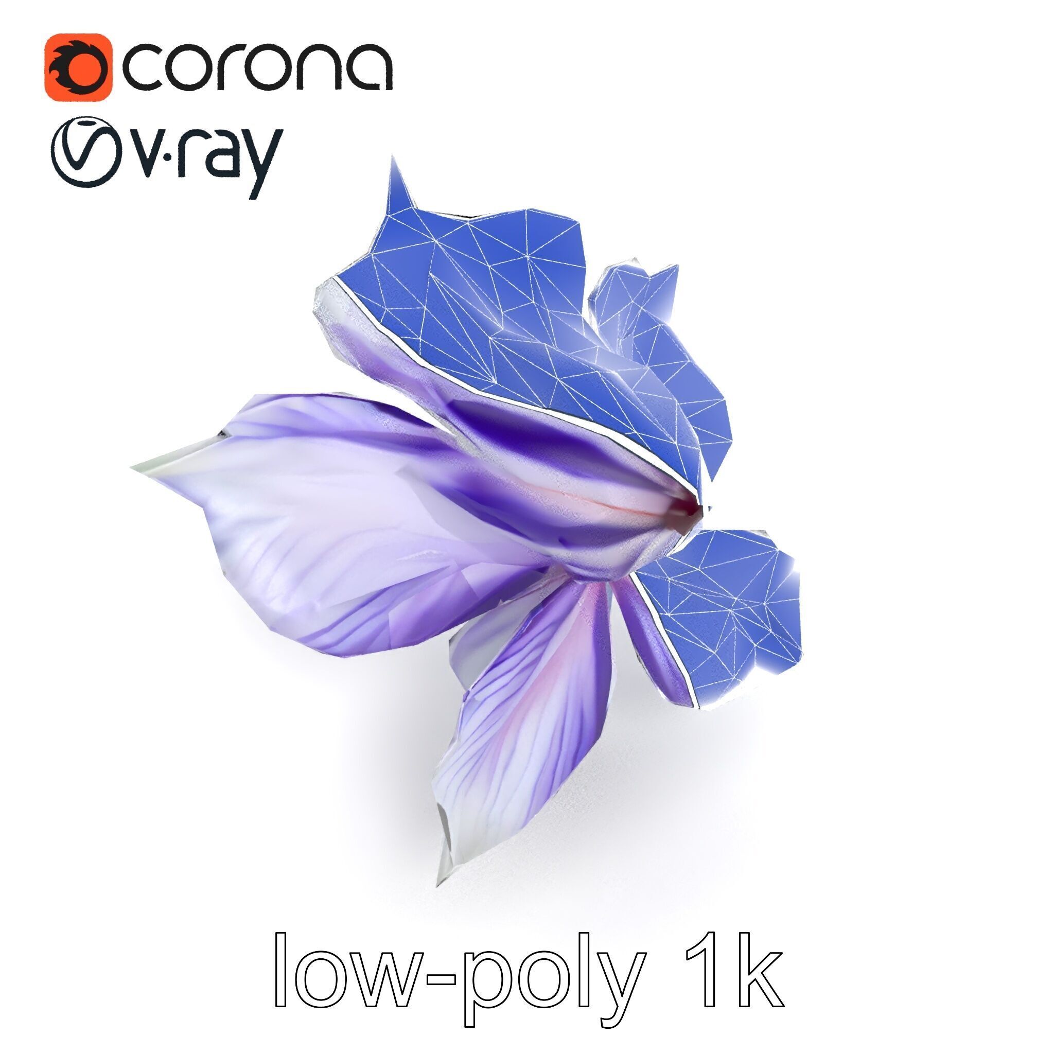 Bicolor Clematis Flower Model Pack Low-poly 3D model_27