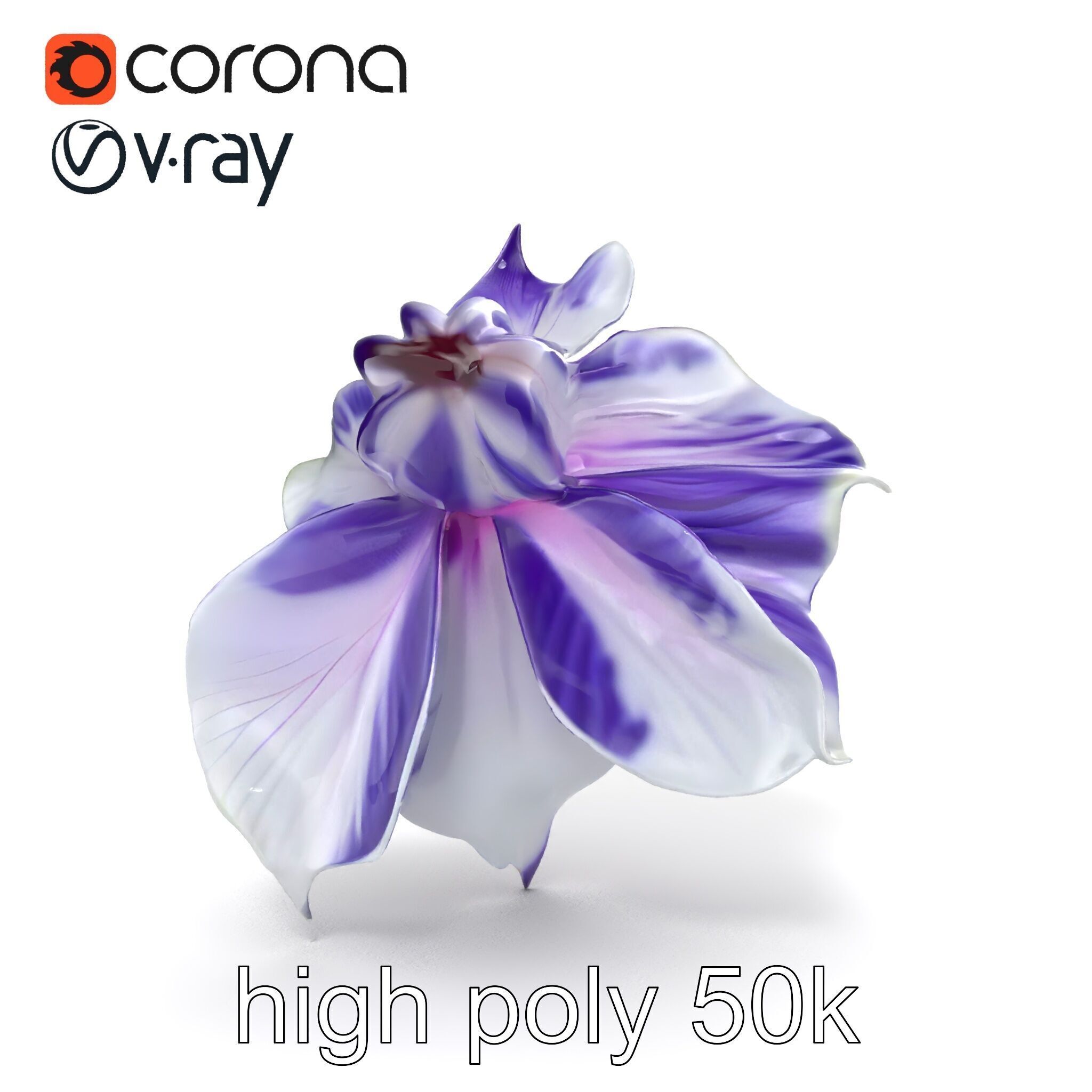 Bicolor Clematis Flower Model Pack Low-poly 3D model_23