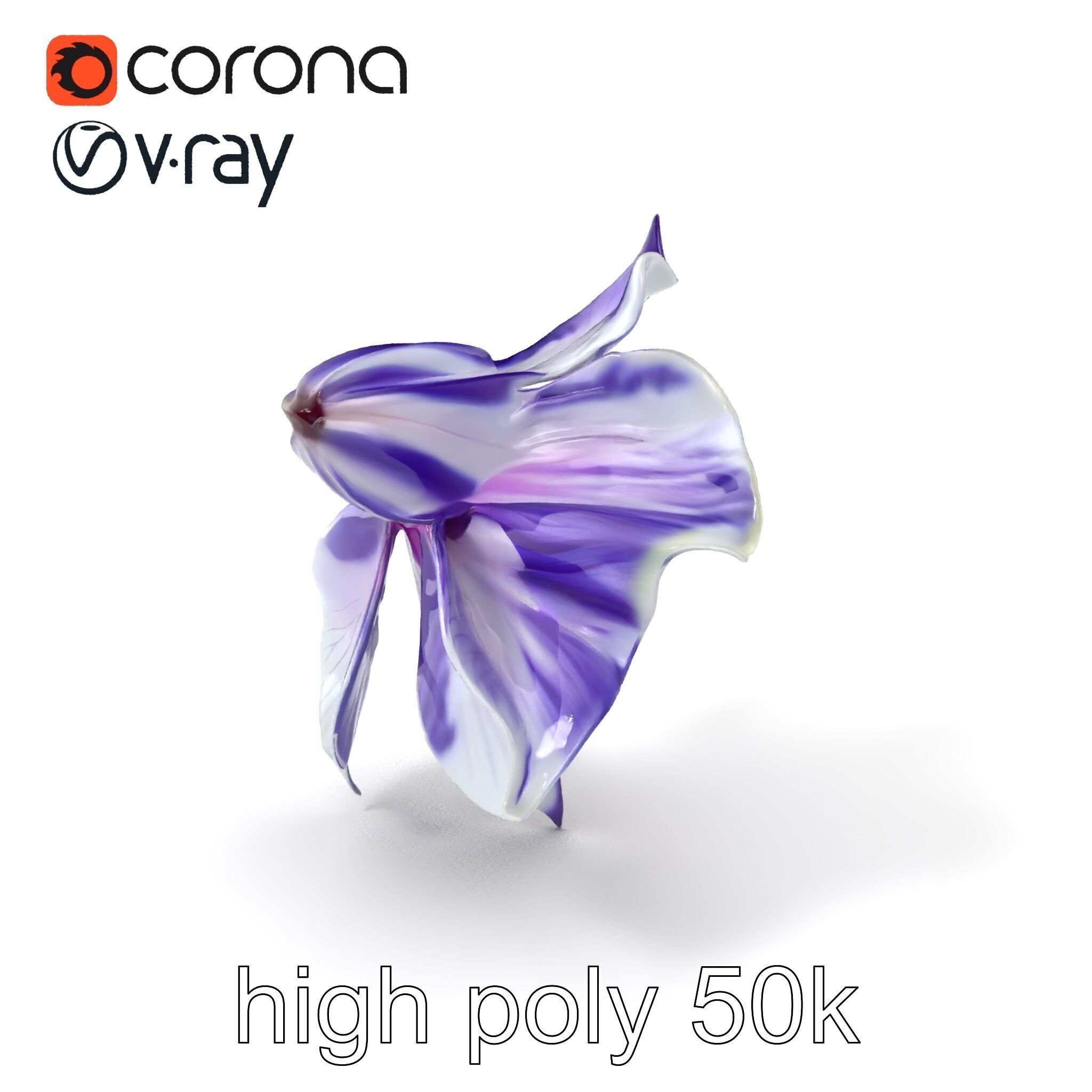 Bicolor Clematis Flower Model Pack Low-poly 3D model_2