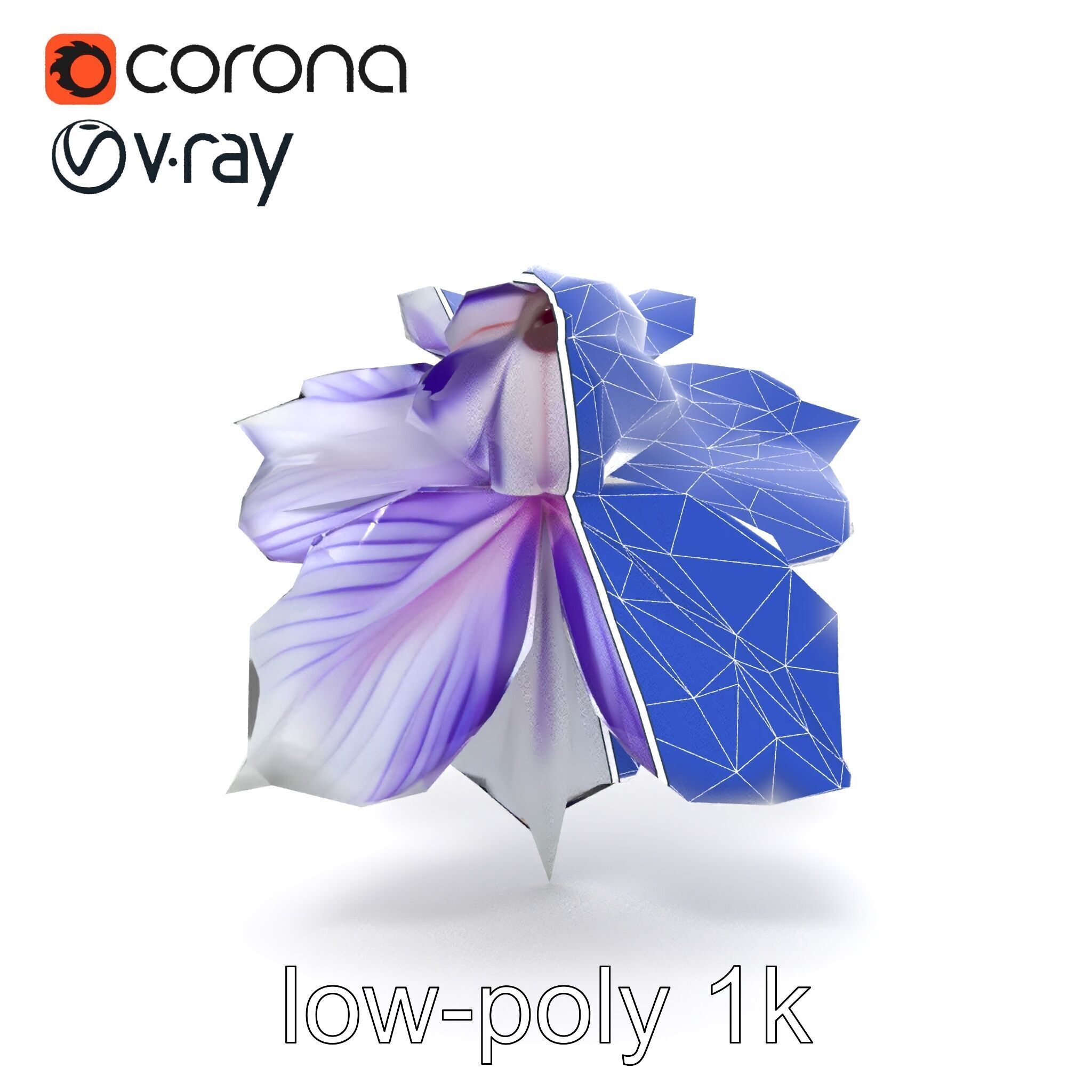 Bicolor Clematis Flower Model Pack Low-poly 3D model_22