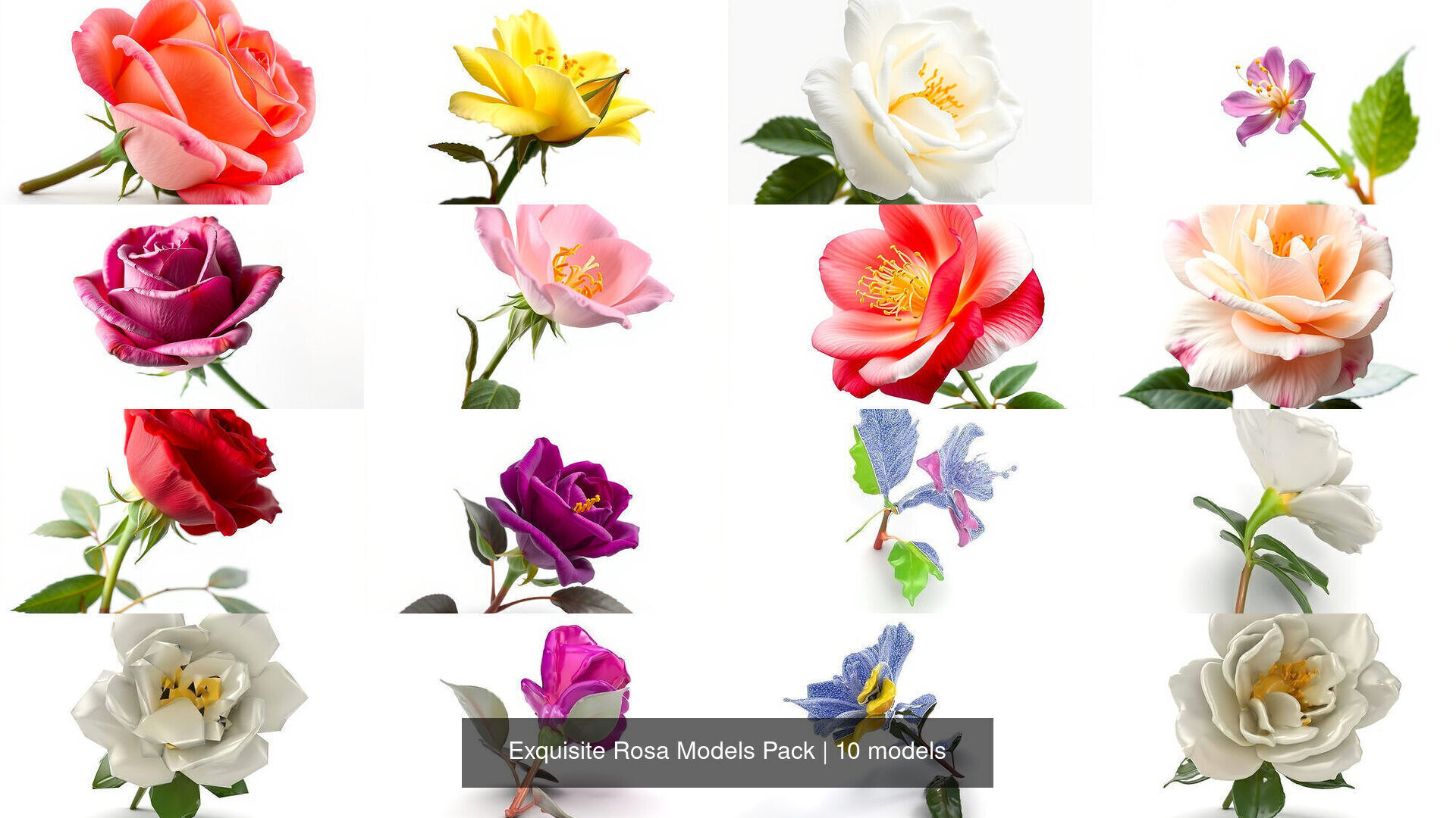 Exquisite Rosa Models Pack 3D Model Collection_5