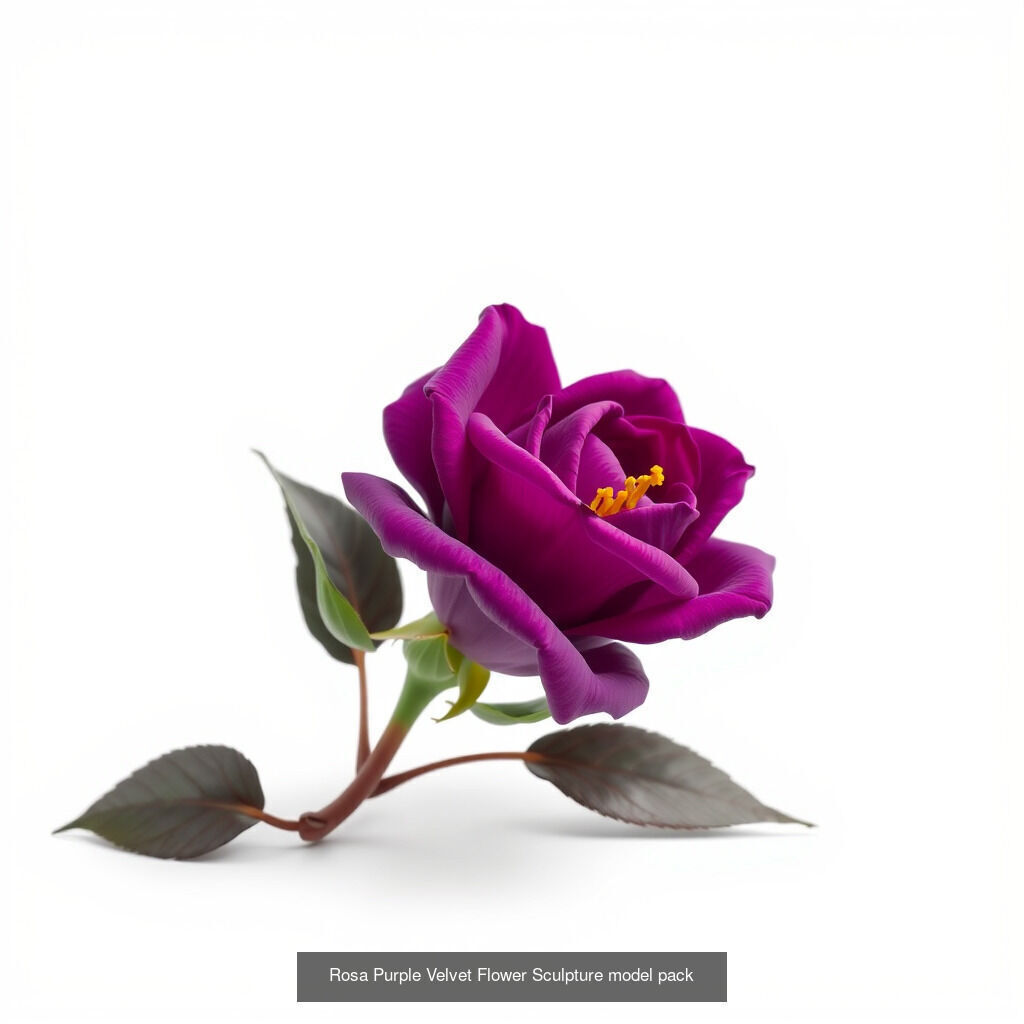 Exquisite Rosa Models Pack 3D Model Collection_14