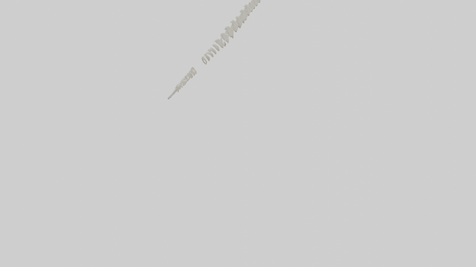 Polar Bear Spine Low-poly 3D model_6