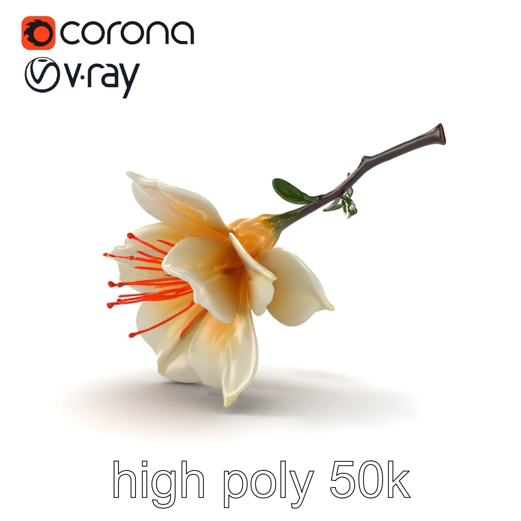 Lonicera Double Bloom Intricate Petal Detail model pack Low-poly 3D model_11