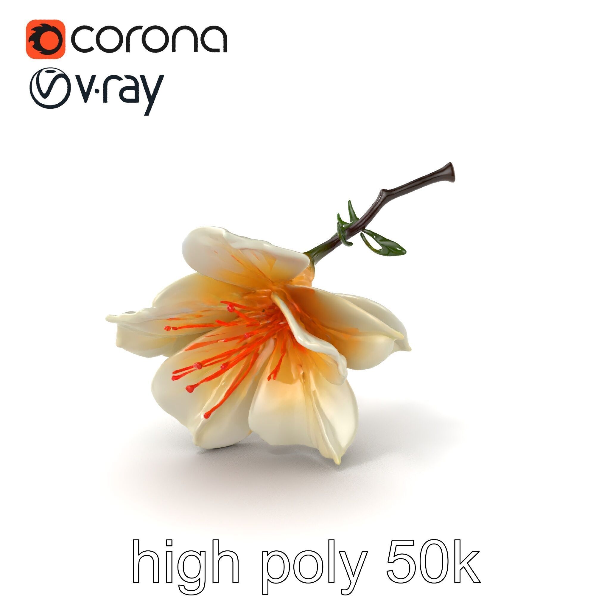 Lonicera Double Bloom Intricate Petal Detail model pack Low-poly 3D model_2