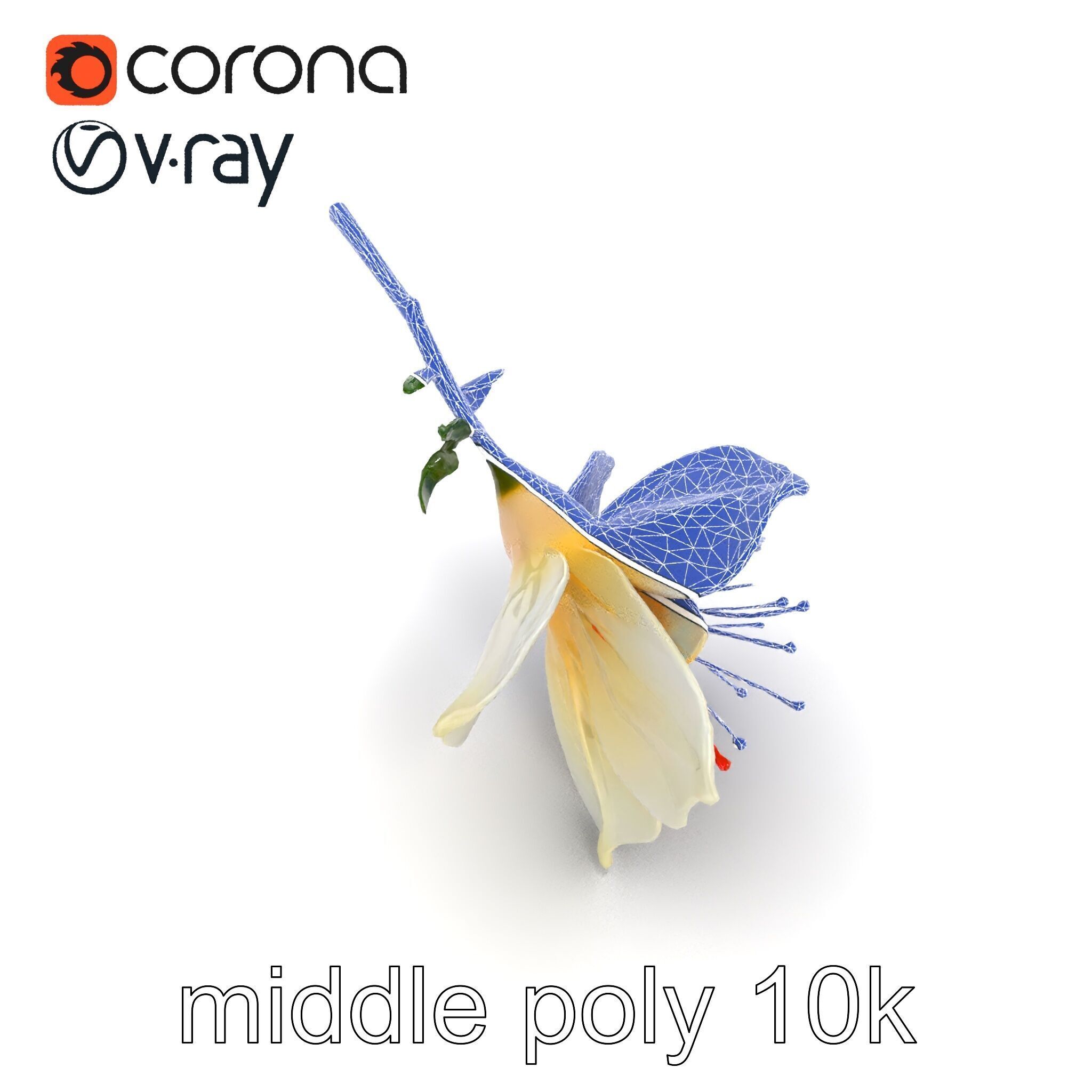 Lonicera Double Bloom Intricate Petal Detail model pack Low-poly 3D model_21