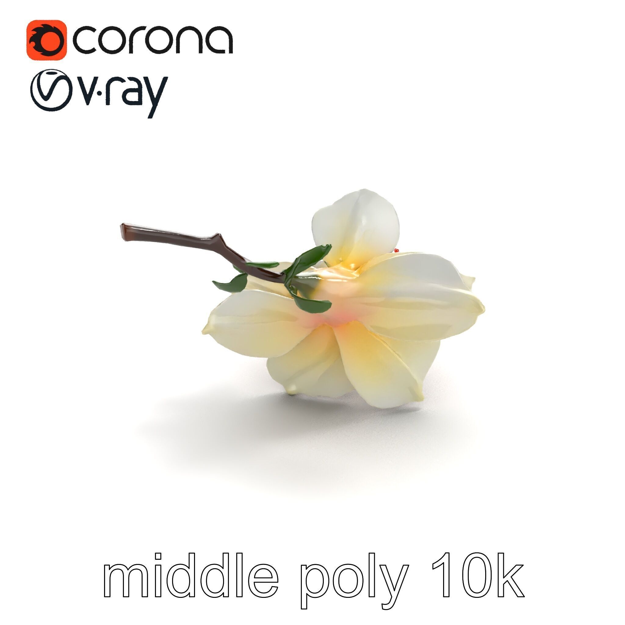Lonicera Double Bloom Intricate Petal Detail model pack Low-poly 3D model_7