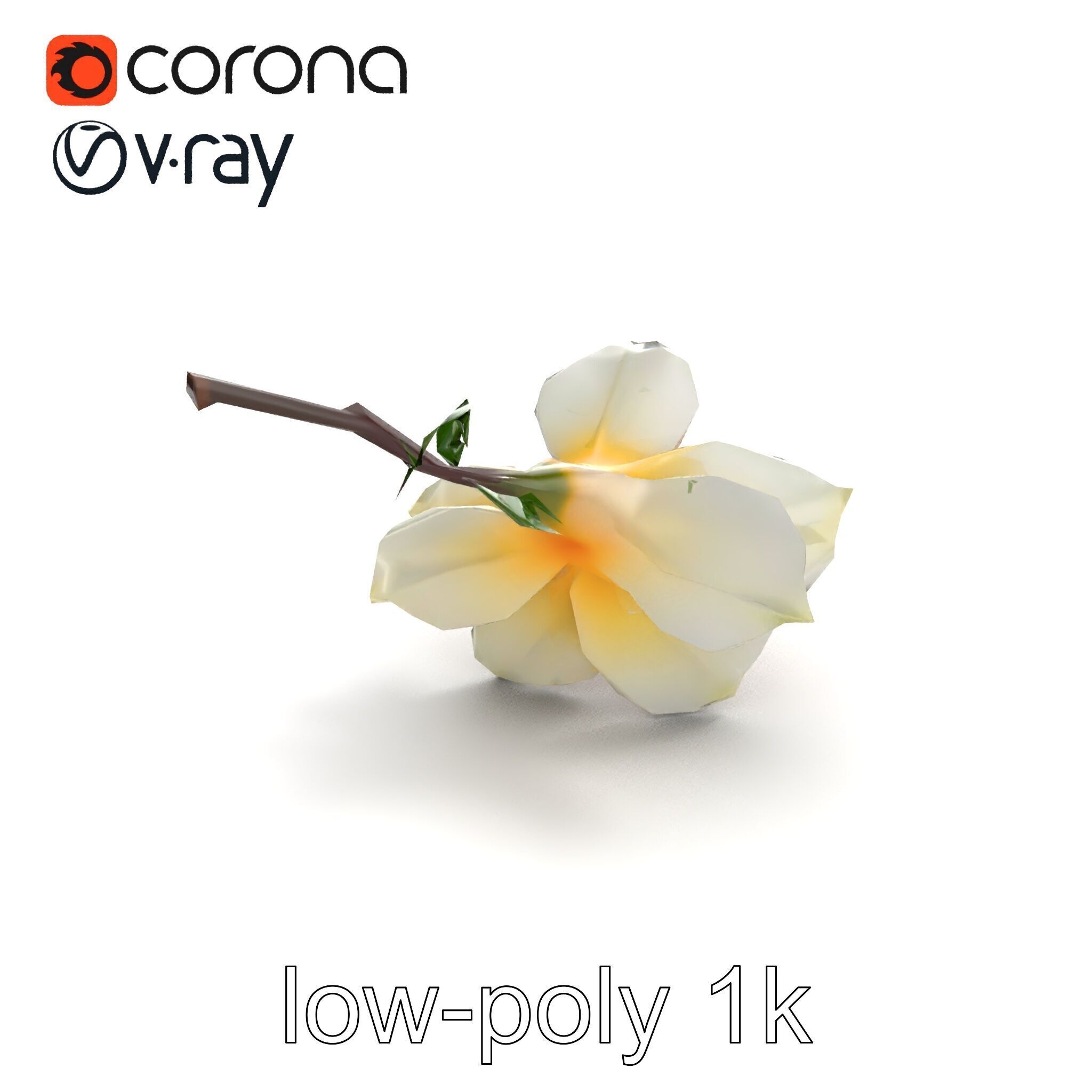 Lonicera Double Bloom Intricate Petal Detail model pack Low-poly 3D model_8