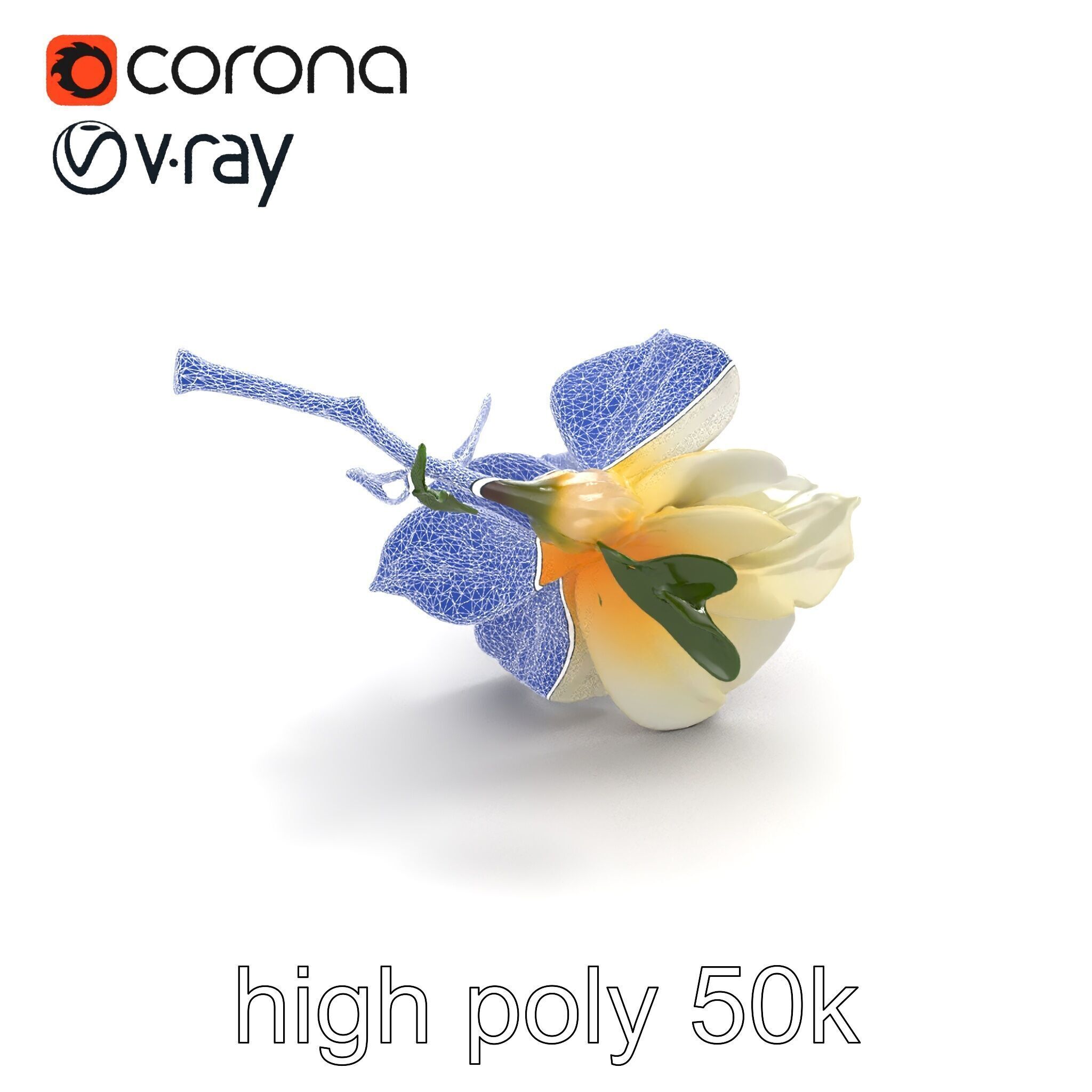 Lonicera Double Bloom Intricate Petal Detail model pack Low-poly 3D model_20