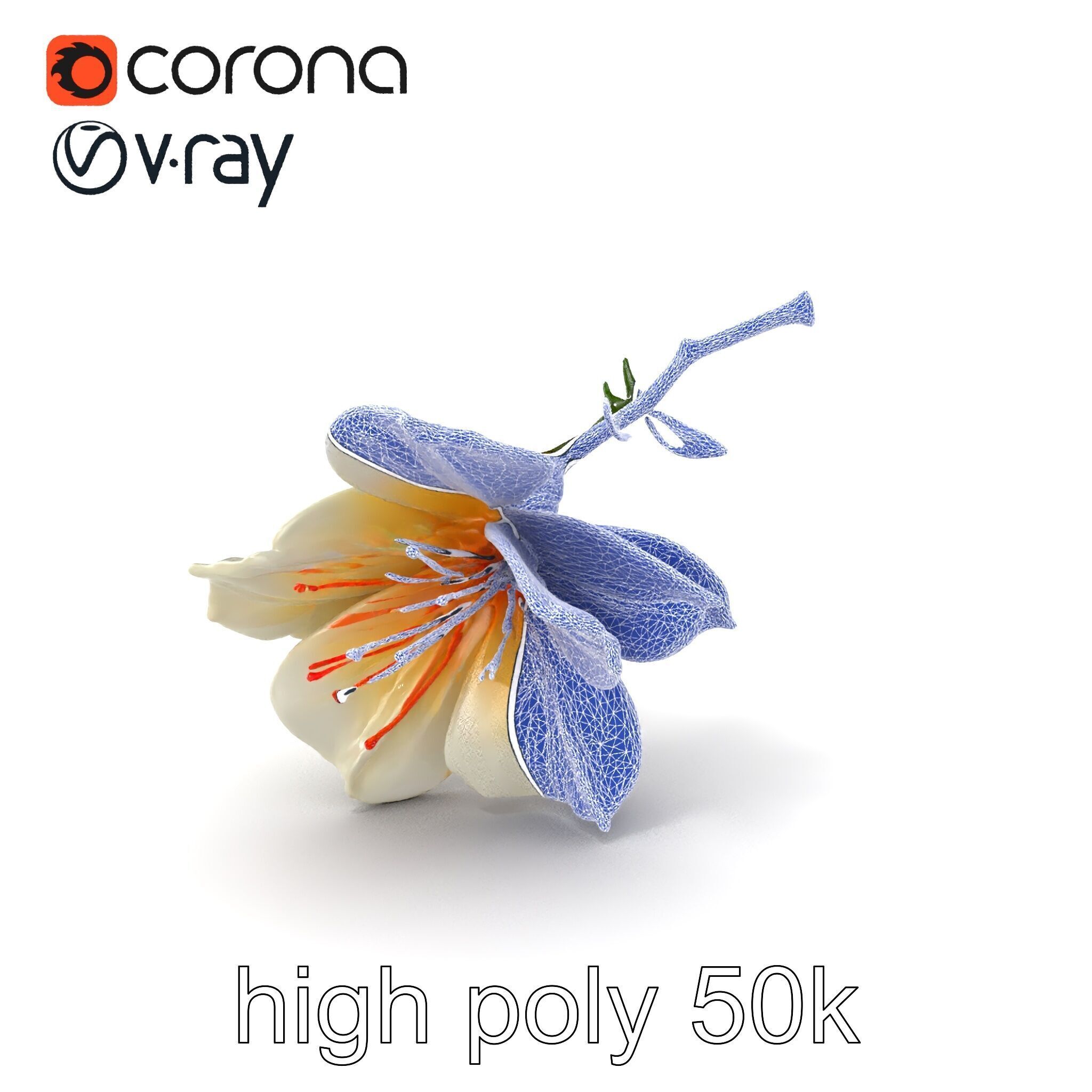 Lonicera Double Bloom Intricate Petal Detail model pack Low-poly 3D model_1