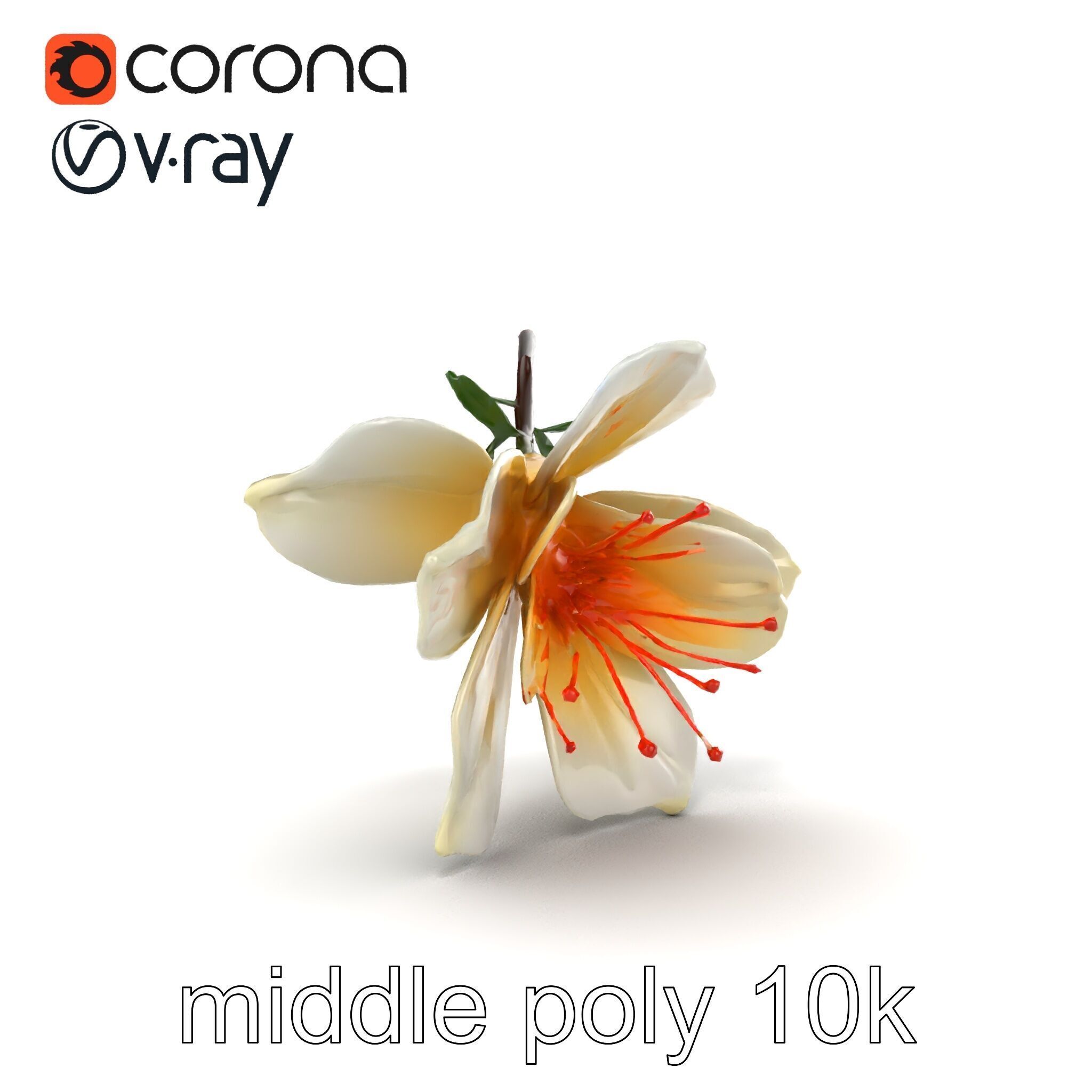 Lonicera Double Bloom Intricate Petal Detail model pack Low-poly 3D model_22