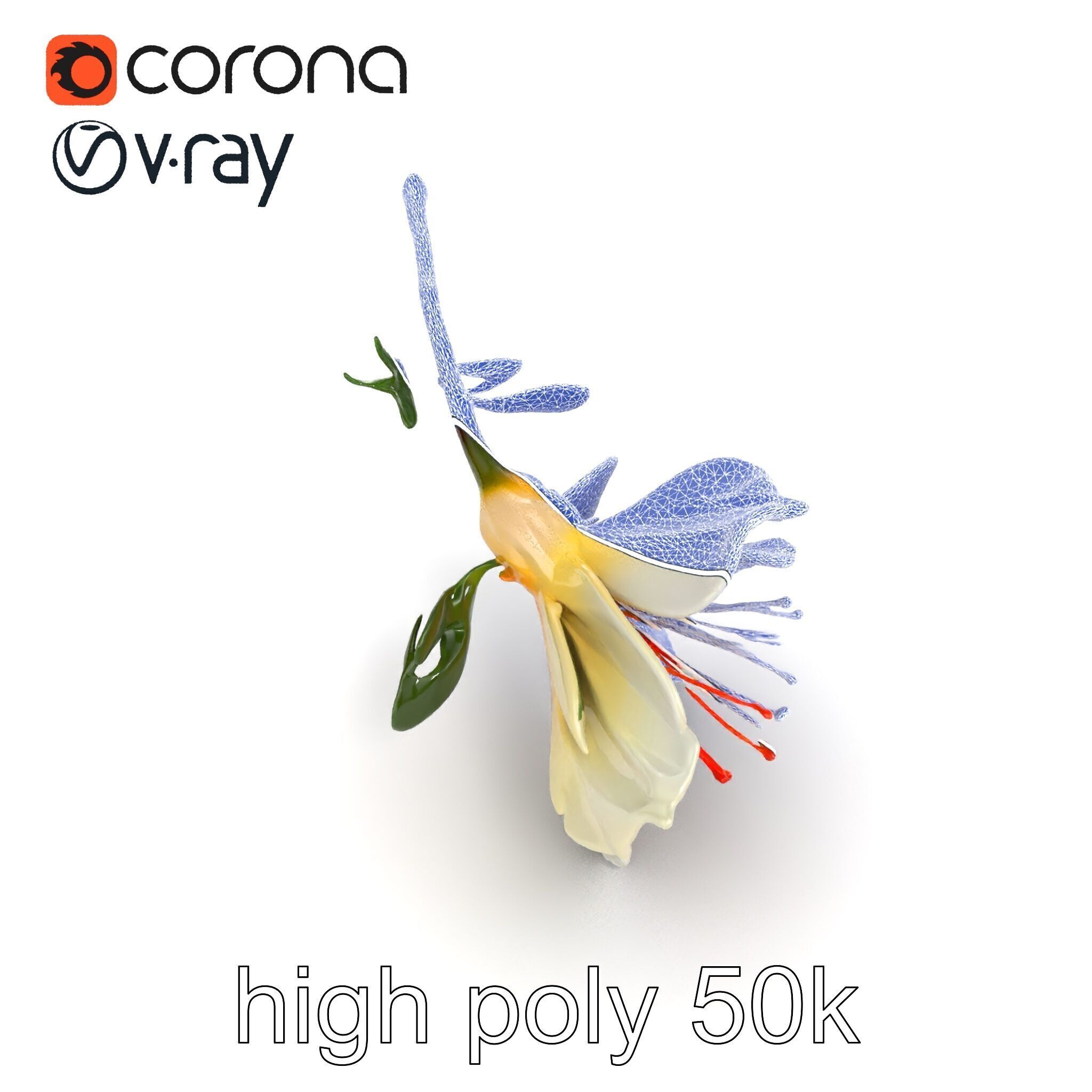 Lonicera Double Bloom Intricate Petal Detail model pack Low-poly 3D model_15