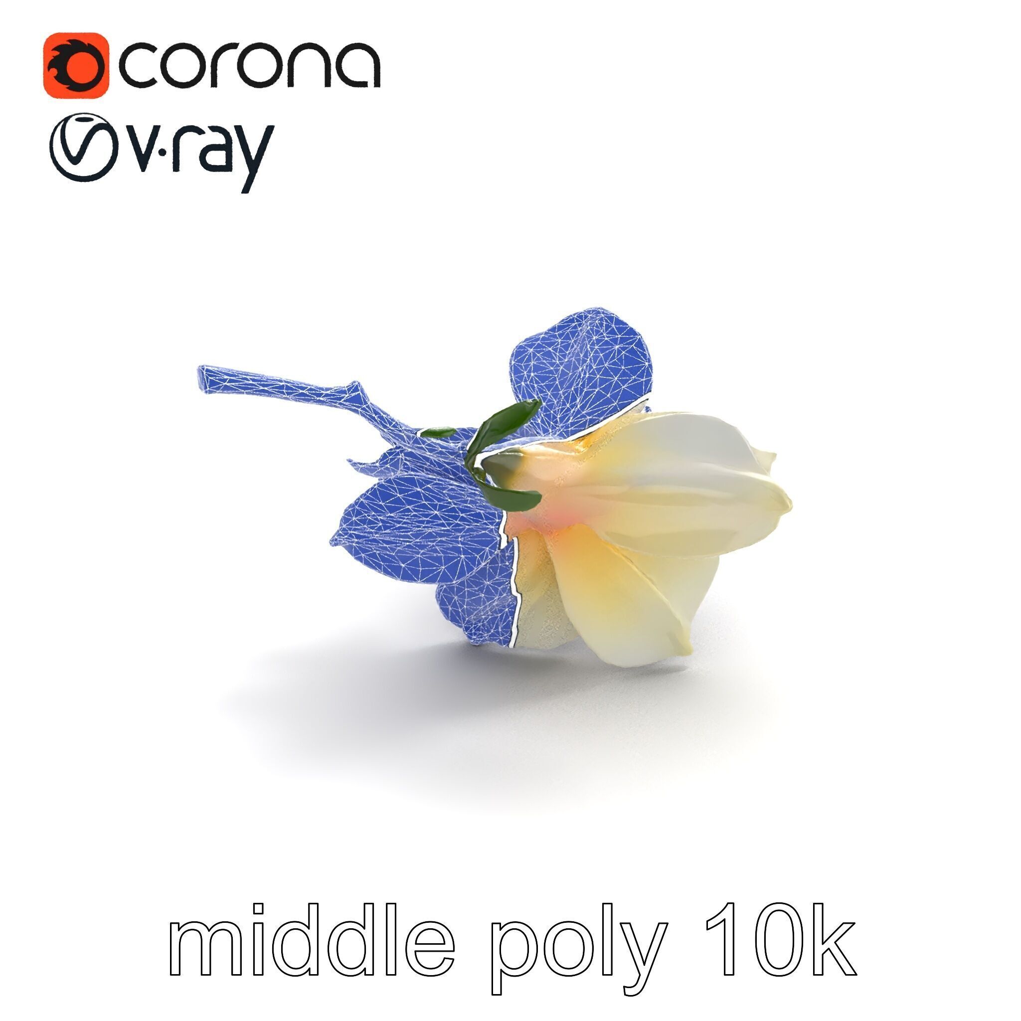 Lonicera Double Bloom Intricate Petal Detail model pack Low-poly 3D model_13
