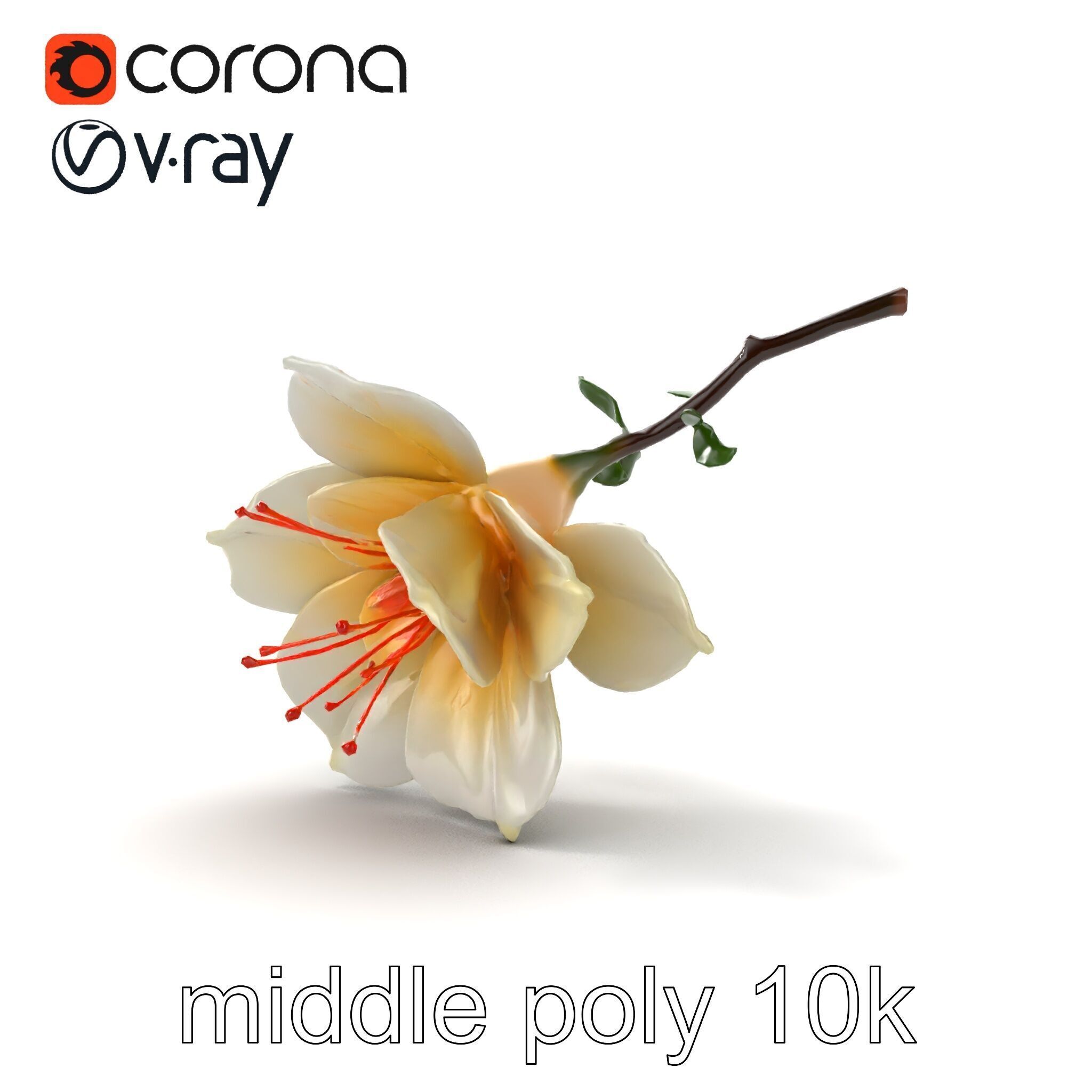 Lonicera Double Bloom Intricate Petal Detail model pack Low-poly 3D model_23