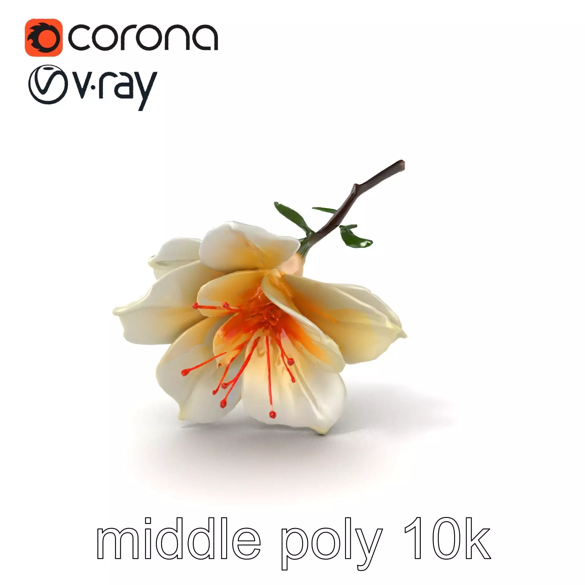 Lonicera Double Bloom Intricate Petal Detail model pack Low-poly 3D model_0