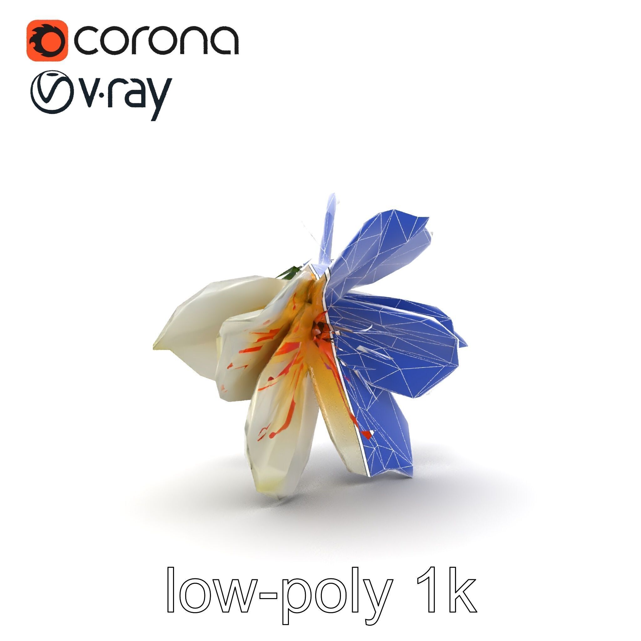 Lonicera Double Bloom Intricate Petal Detail model pack Low-poly 3D model_25