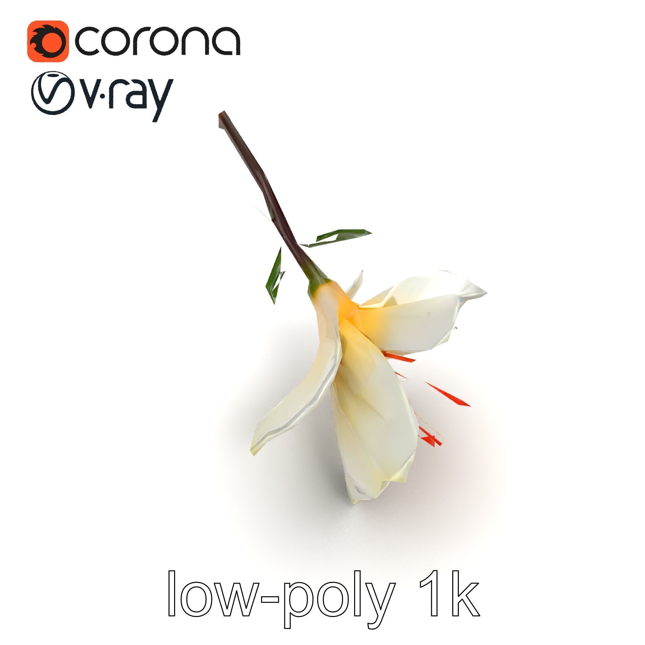 Lonicera Double Bloom Intricate Petal Detail model pack Low-poly 3D model_12