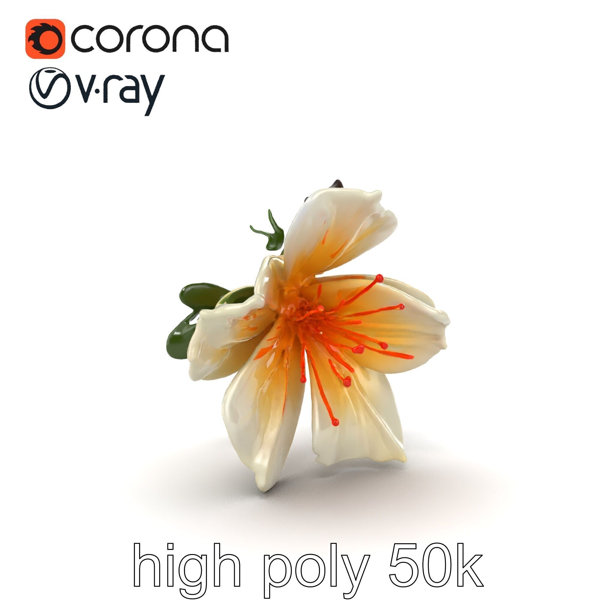 Lonicera Double Bloom Intricate Petal Detail model pack Low-poly 3D model_18