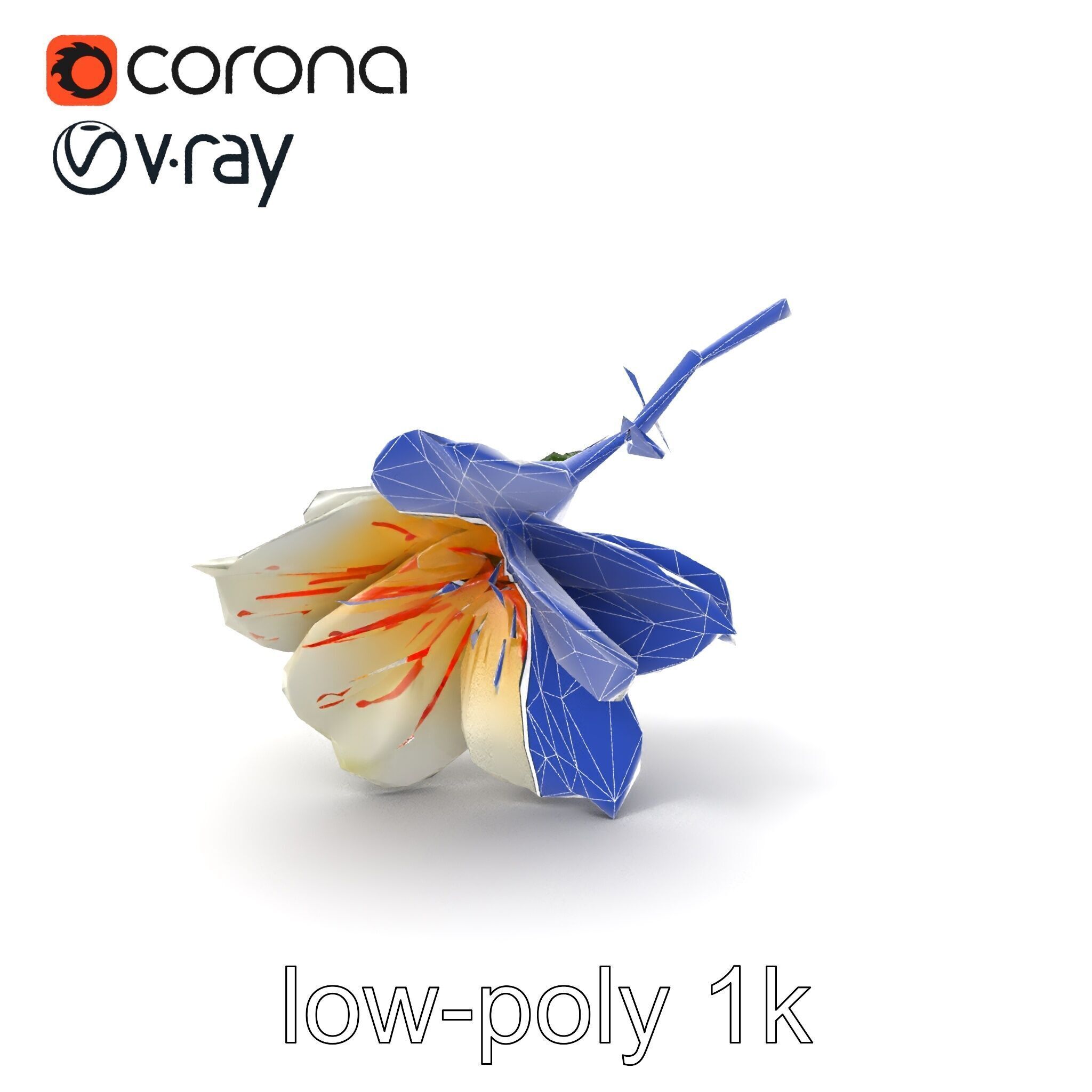 Lonicera Double Bloom Intricate Petal Detail model pack Low-poly 3D model_6
